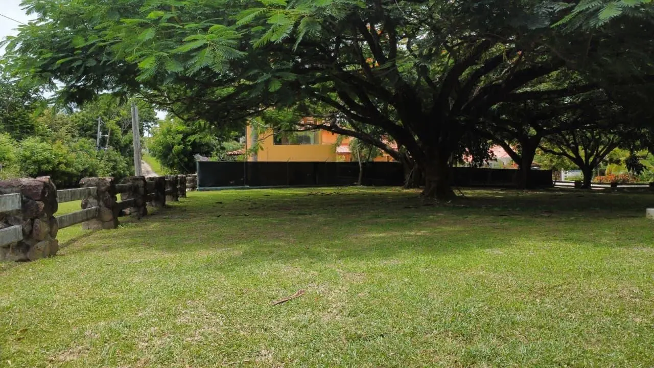 Calle Punta Barco Viejo - Photo 17