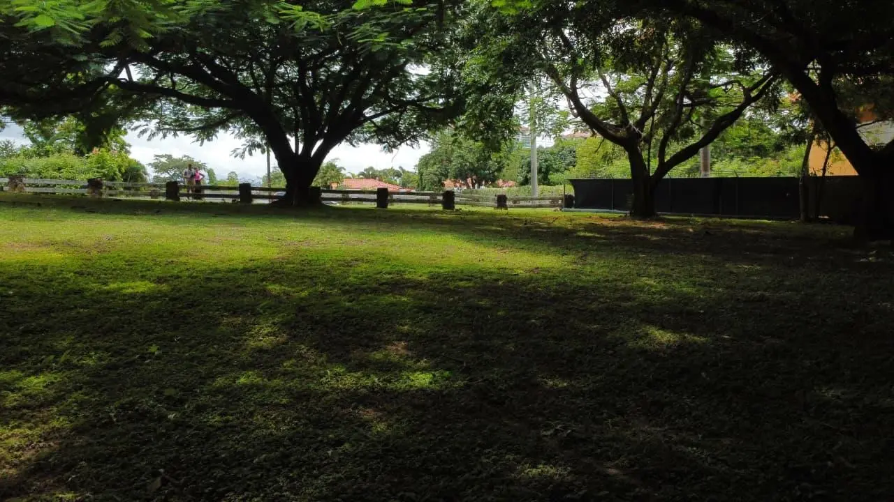 Calle Punta Barco Viejo - Photo 14