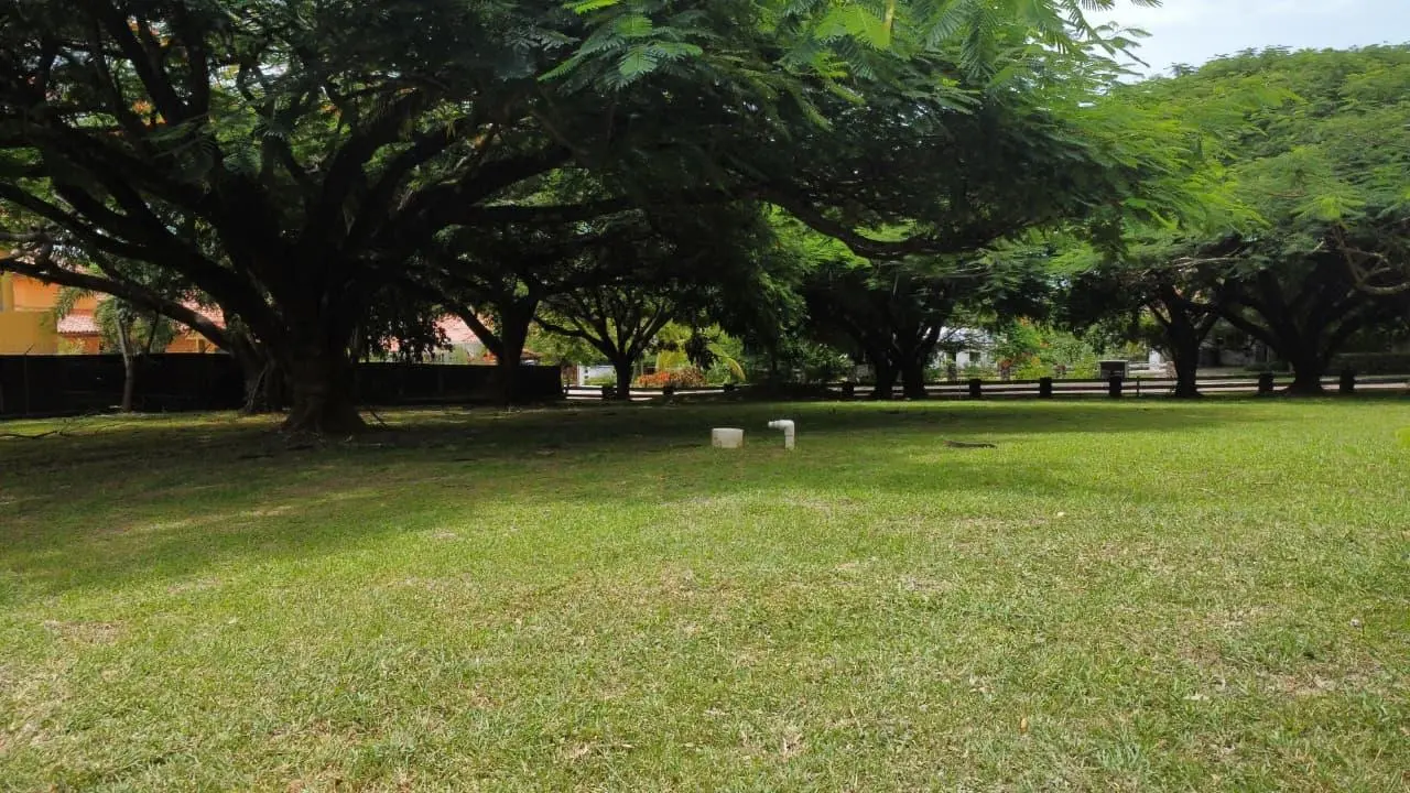 Calle Punta Barco Viejo - Photo 11