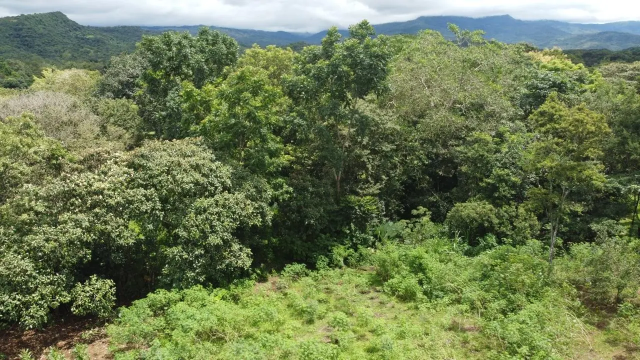 0 Chiriquí, Boquete, Caldera, Pueblo Nuevo - Photo 20