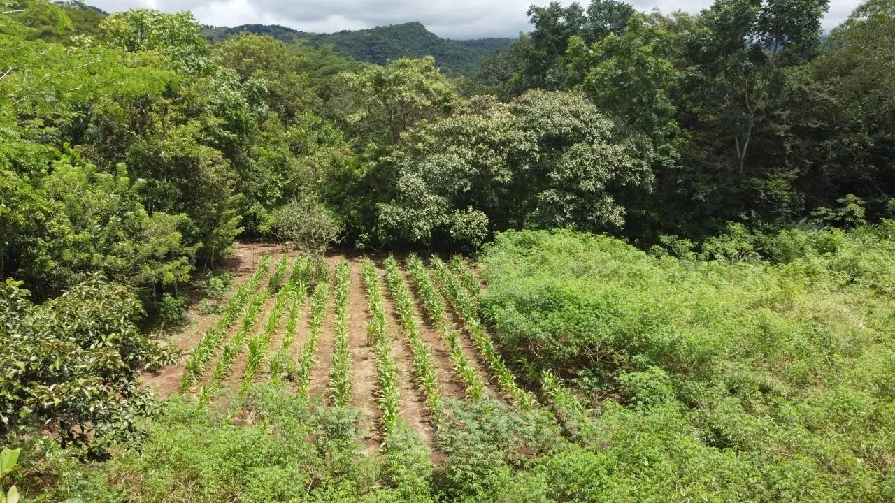 0 Chiriquí, Boquete, Caldera, Pueblo Nuevo - Photo 11