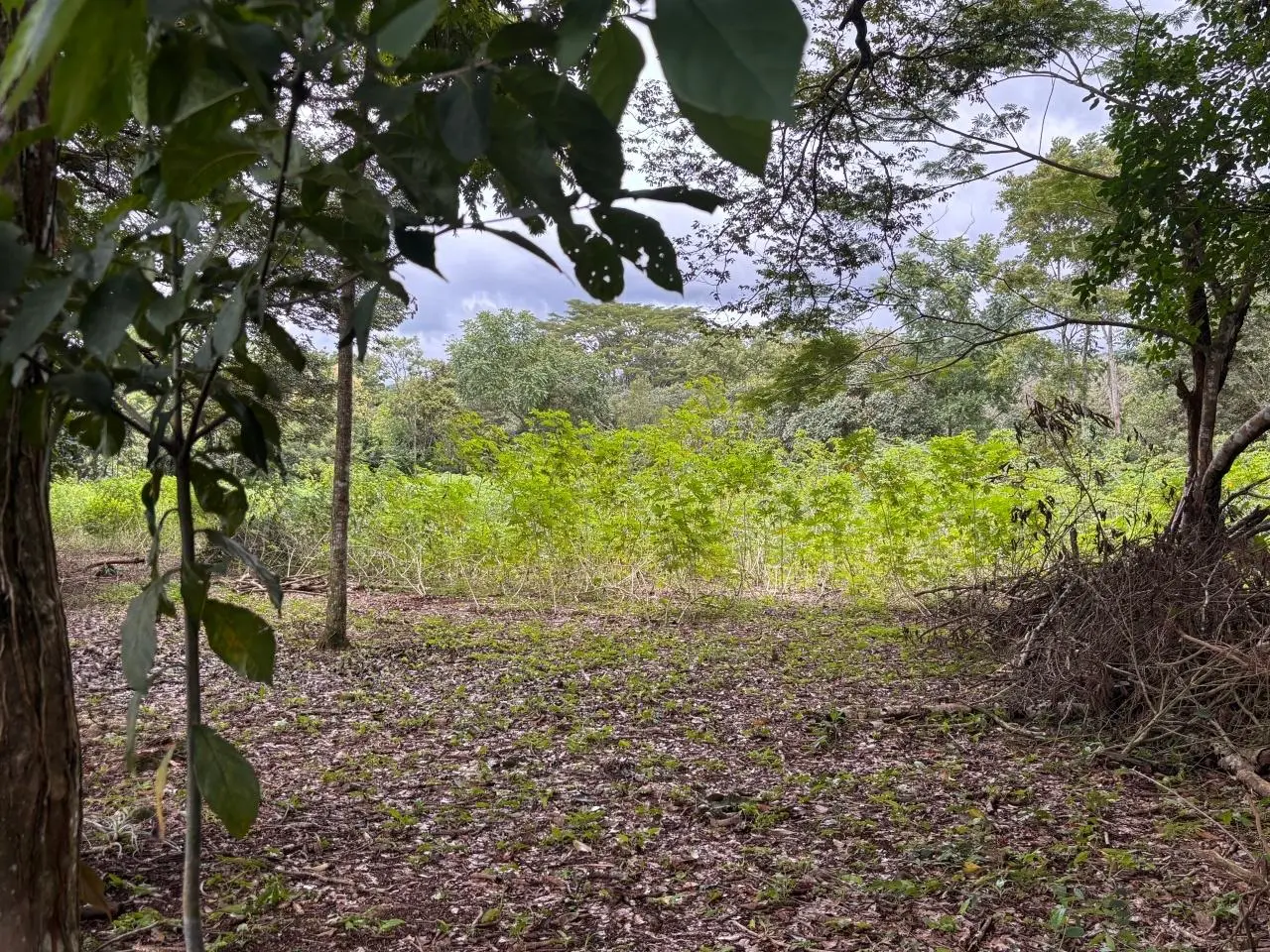 0 Chiriquí, Boquete, Caldera, Pueblo Nuevo - Photo 26