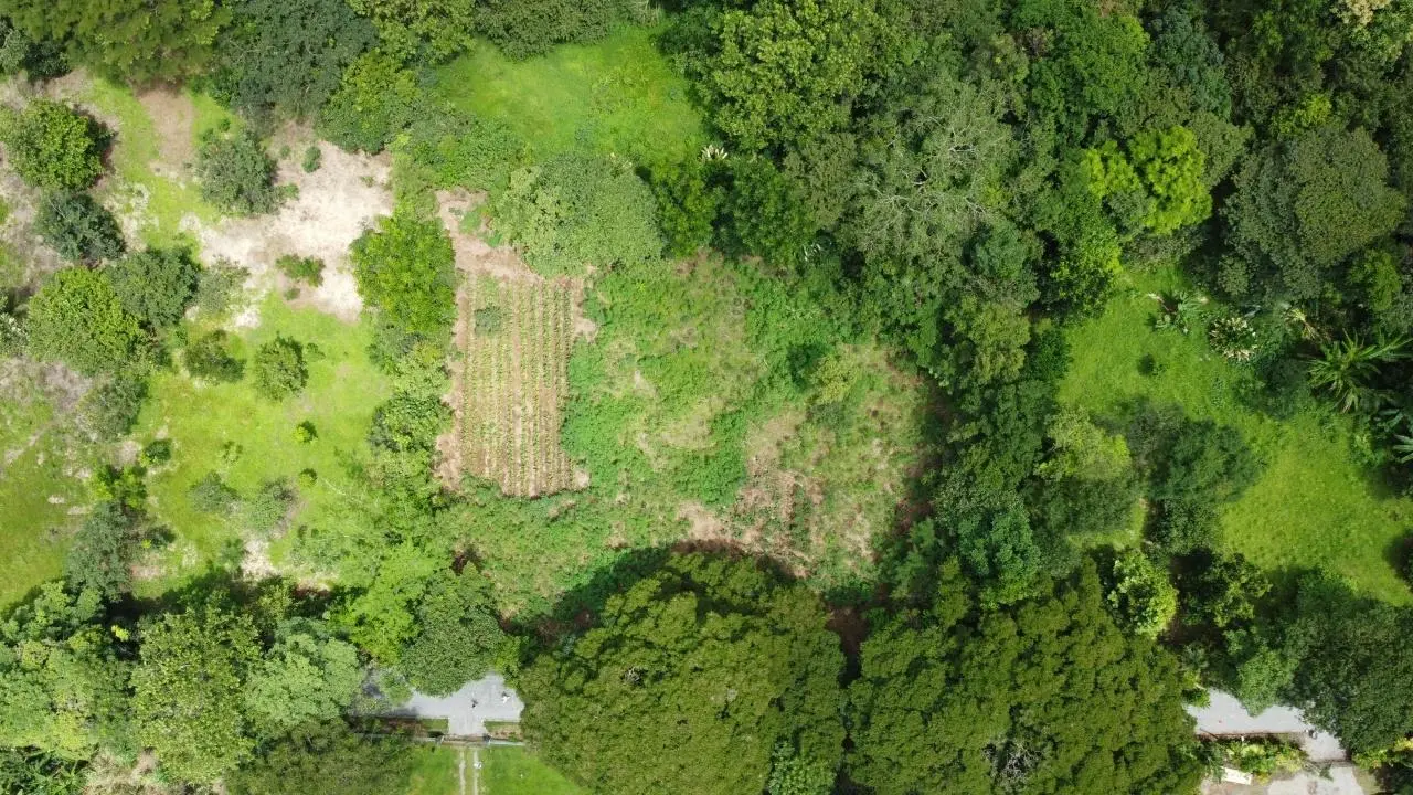 0 Chiriquí, Boquete, Caldera, Pueblo Nuevo - Photo 31