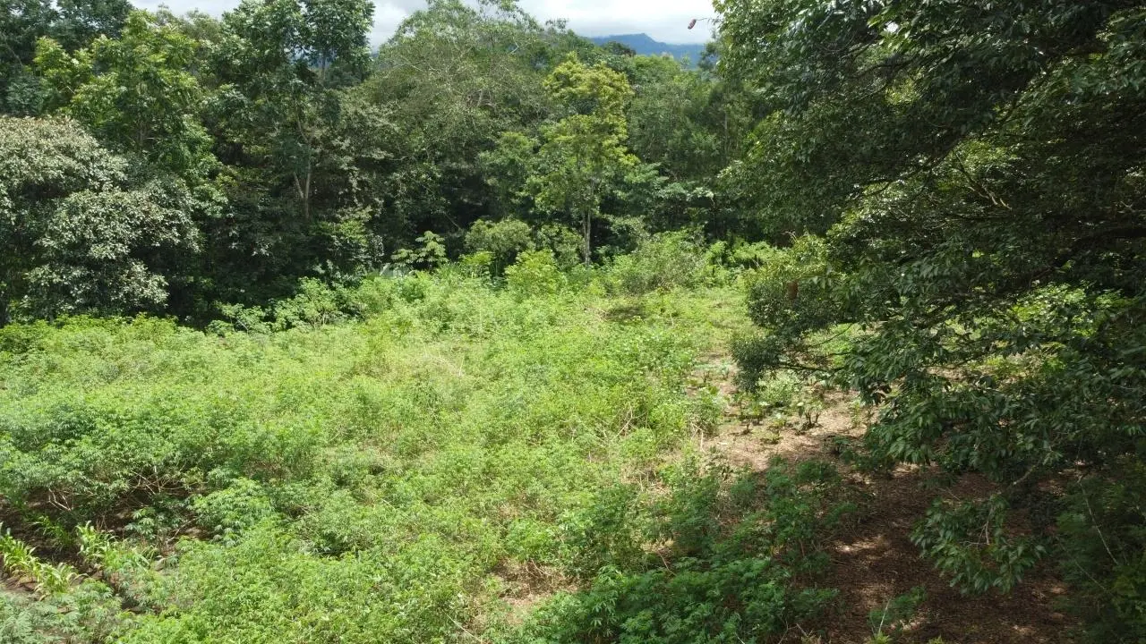 0 Chiriquí, Boquete, Caldera, Pueblo Nuevo - Photo 15