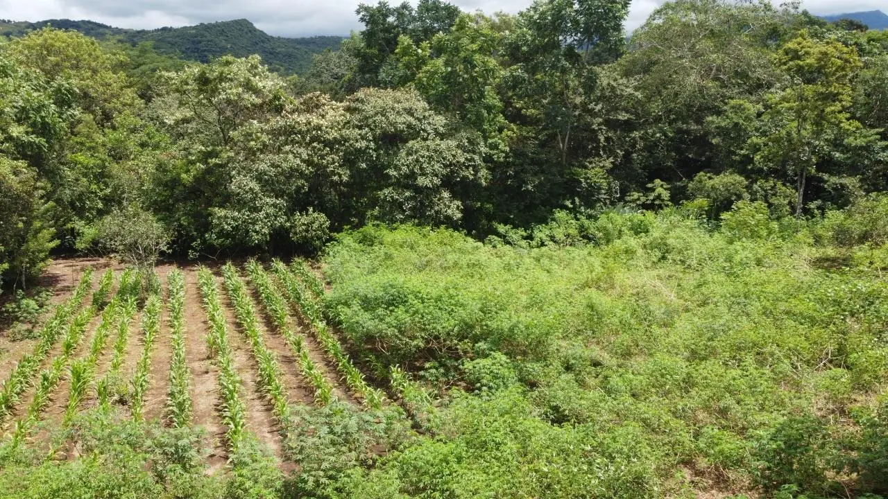 0 Chiriquí, Boquete, Caldera, Pueblo Nuevo - Photo 9