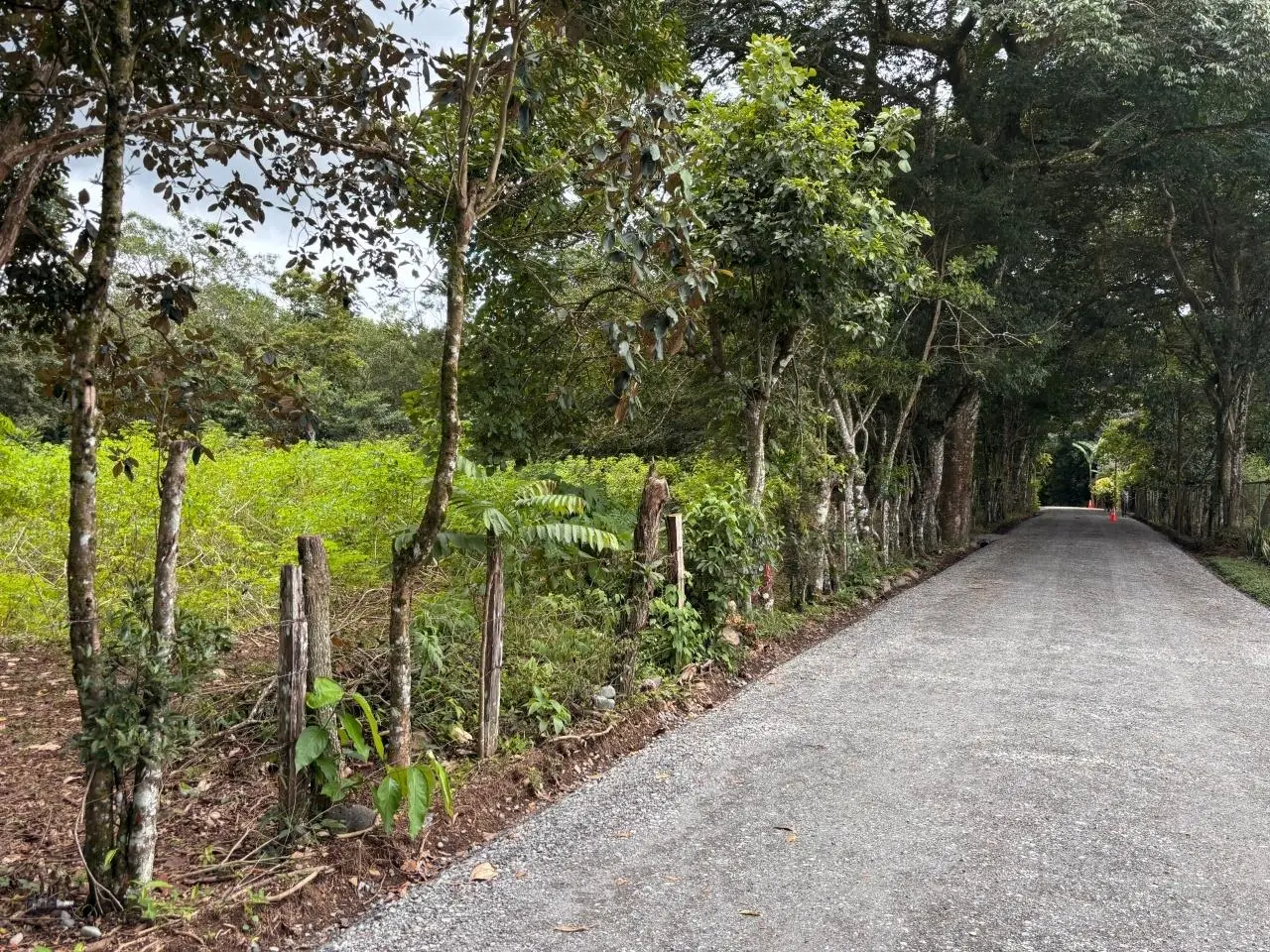 0 Chiriquí, Boquete, Caldera, Pueblo Nuevo - Photo 29