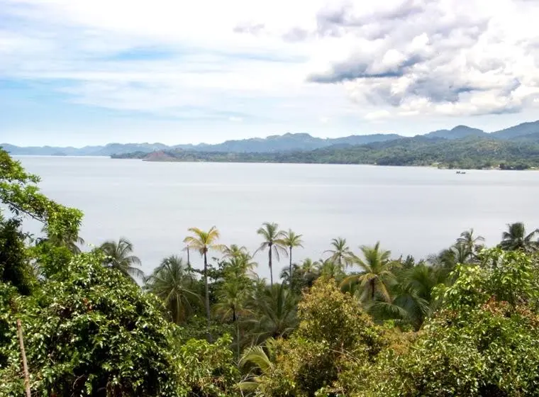 Ph Bala Beach, Maria Chiquita, Colón ##701 - Photo 6