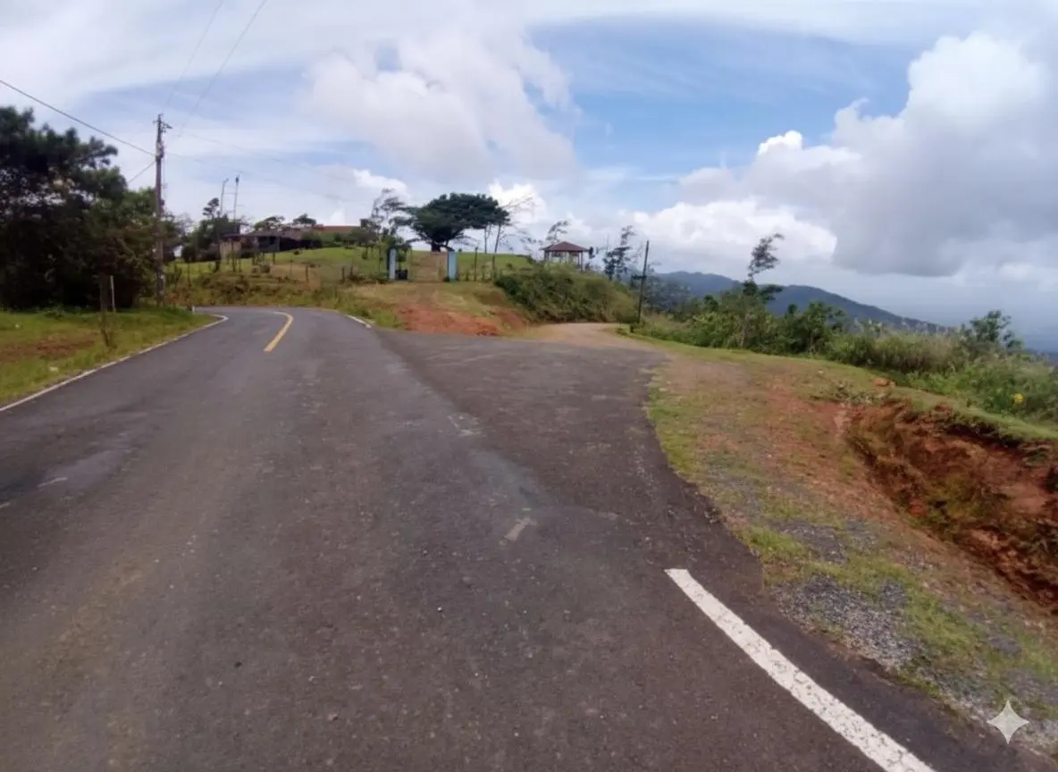 35 Hectareas Lote Cerro Azul - Photo 13