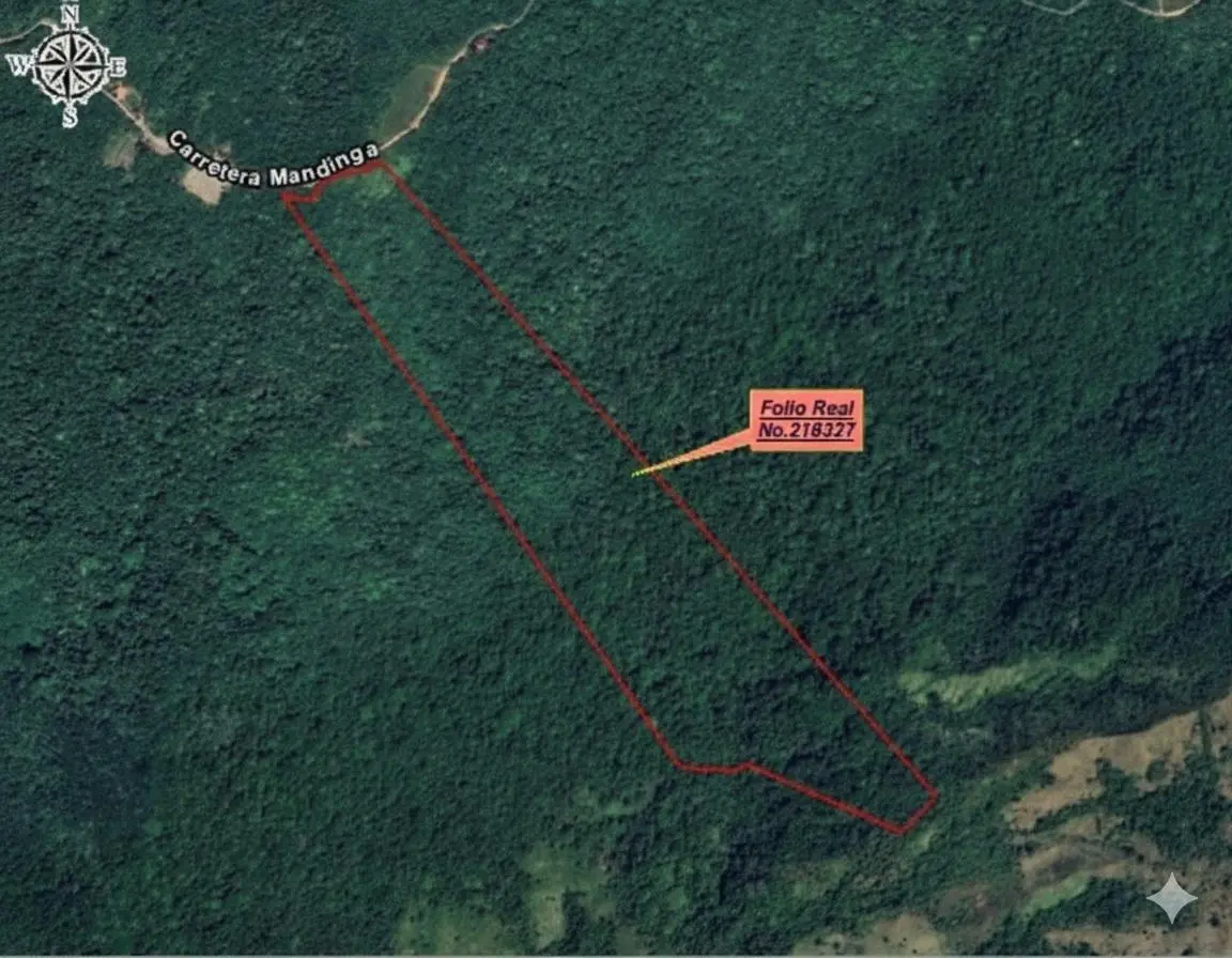 35 Hectareas Lote Cerro Azul - Photo 4