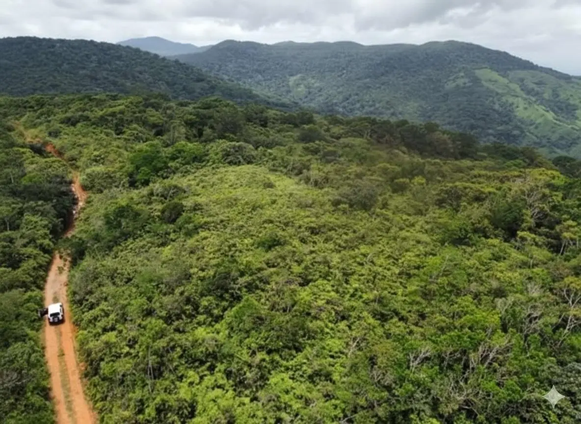 35 Hectareas Lote Cerro Azul - Photo 10