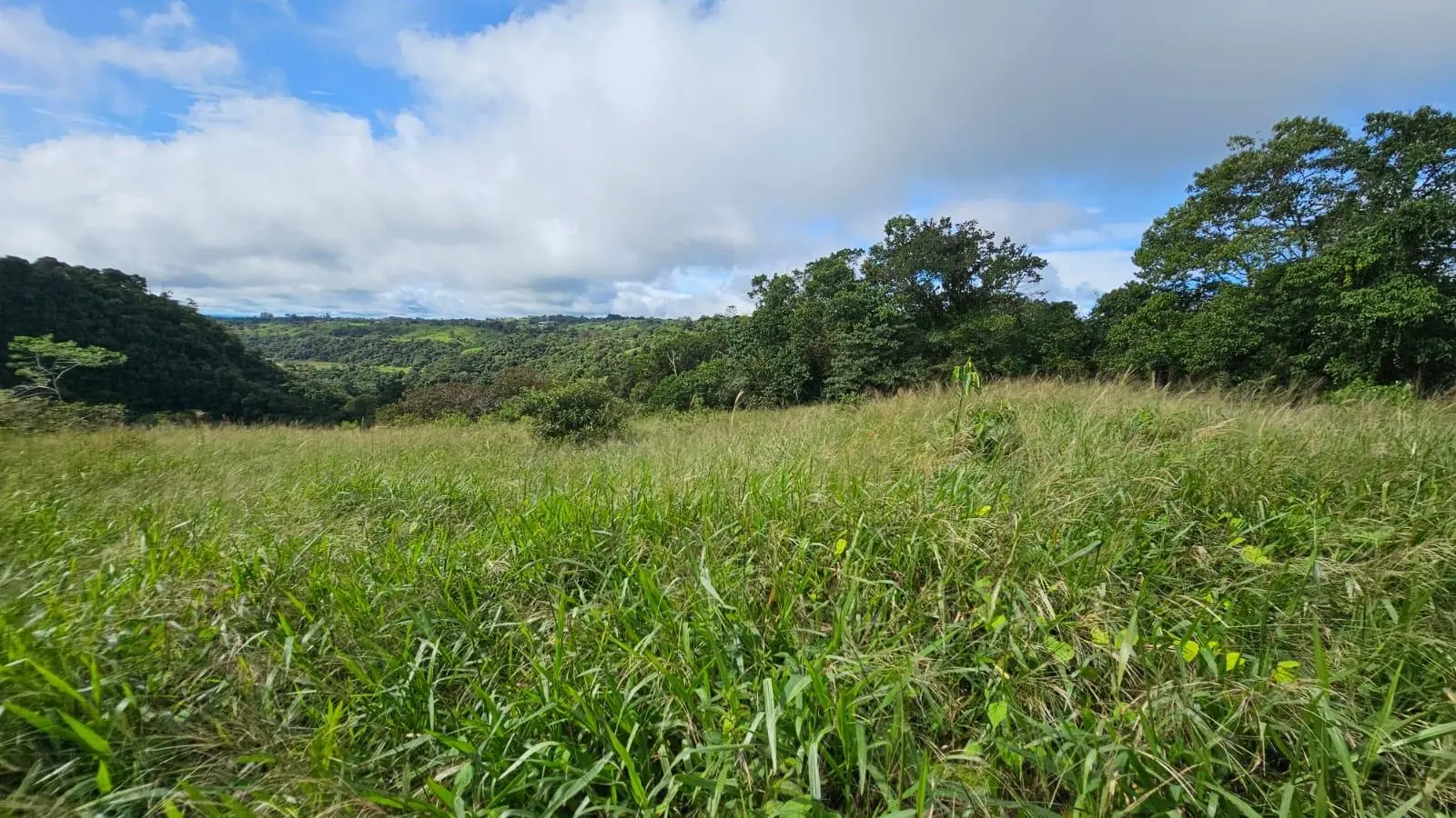 Boquerón, Cordillera. Chiriquí #lote 0011 - Photo 61