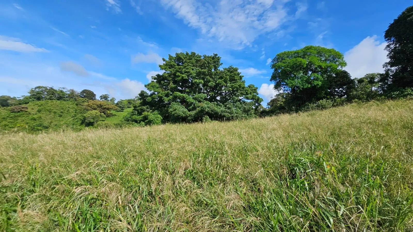 Boquerón, Cordillera. Chiriquí #lote 0011 - Photo 44