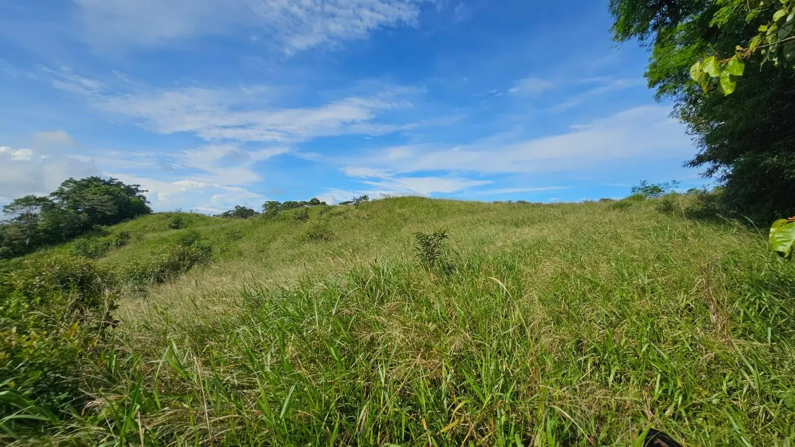Boquerón, Cordillera. Chiriquí #lote 0011 - Photo 58