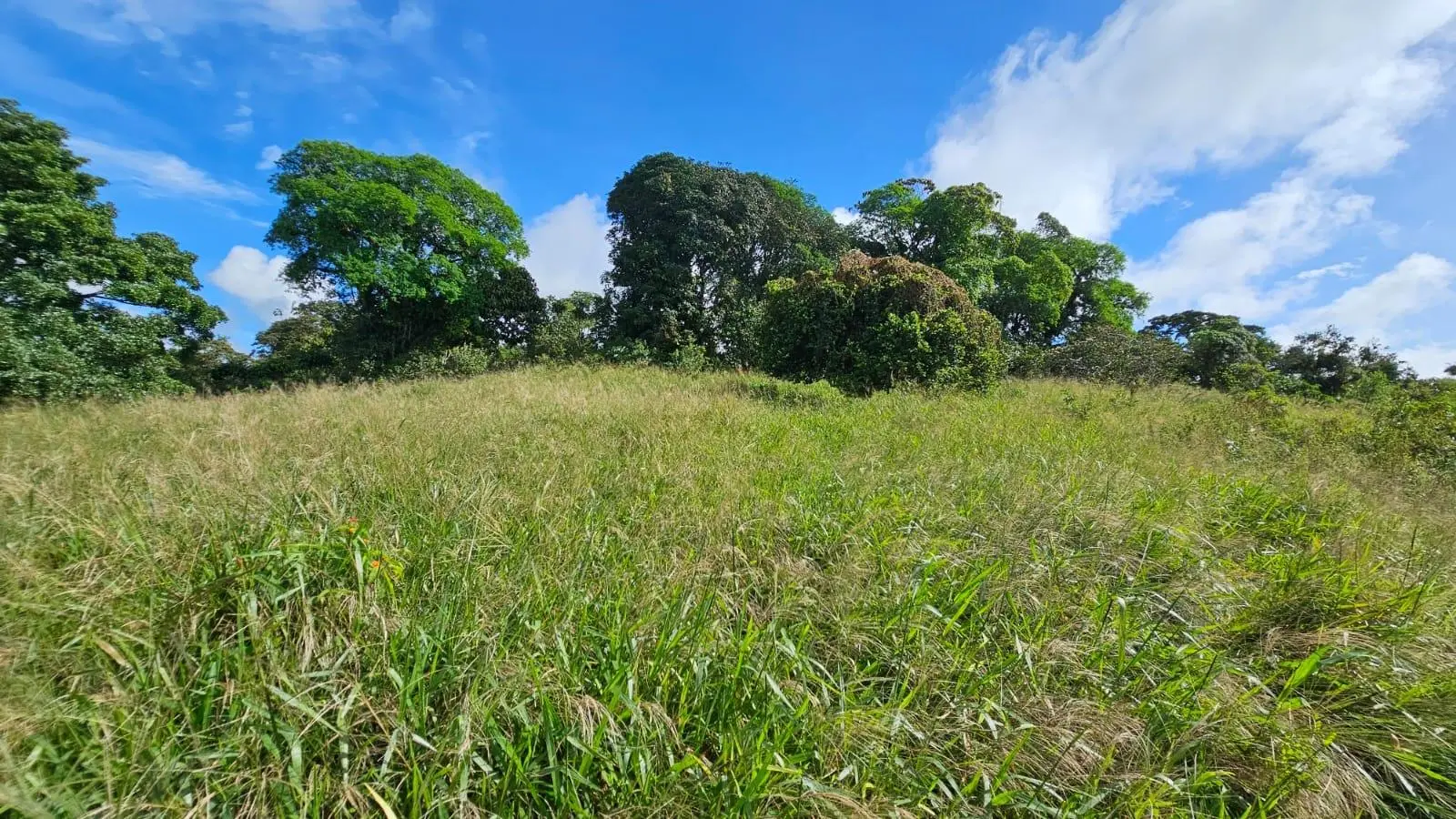 Boquerón, Cordillera. Chiriquí #lote 0011 - Photo 5