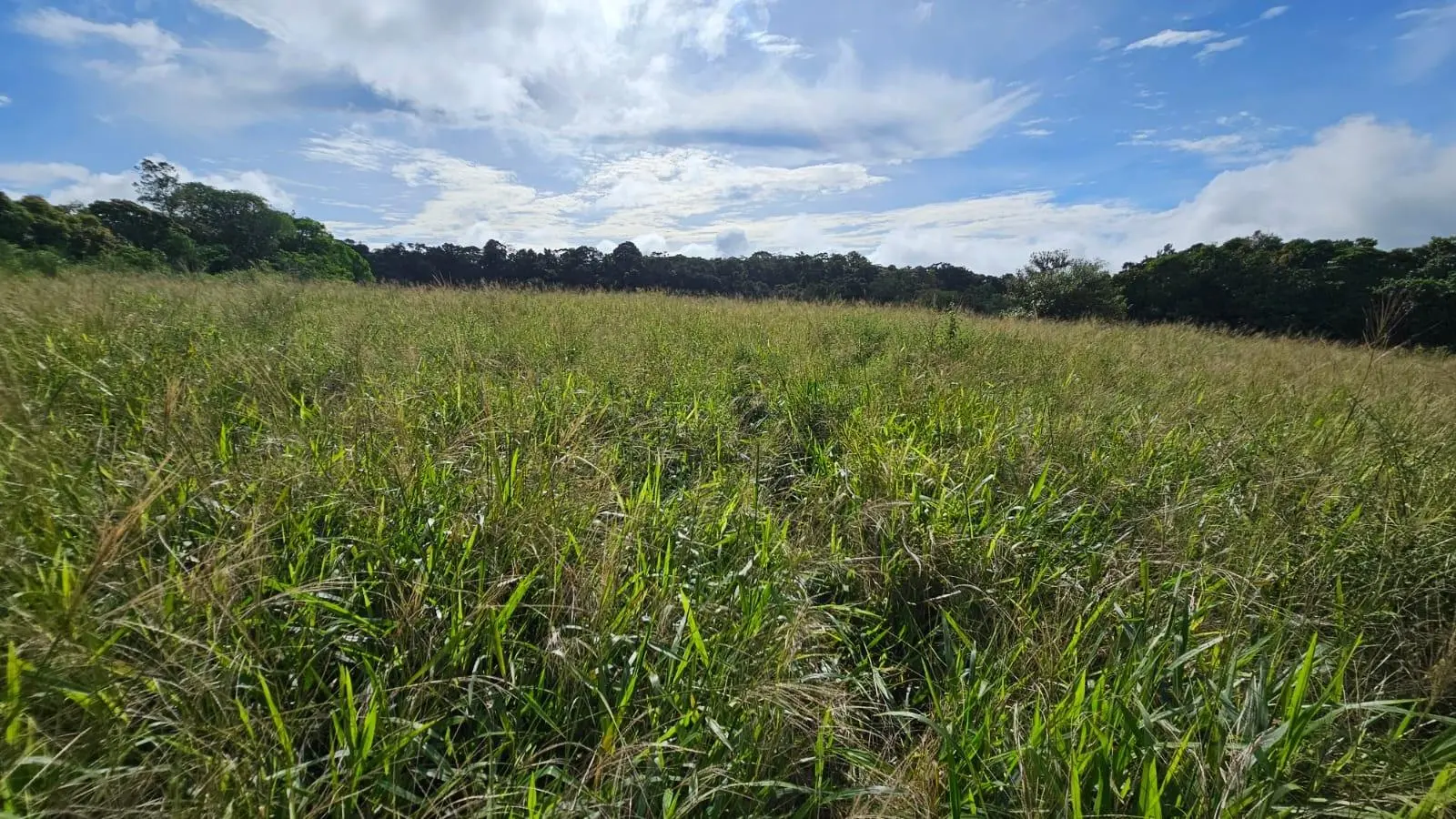 Boquerón, Cordillera. Chiriquí #lote 0011 - Photo 41