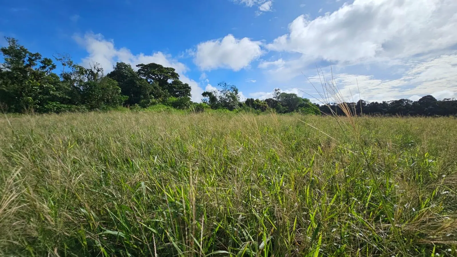 Boquerón, Cordillera. Chiriquí #lote 0011 - Photo 12