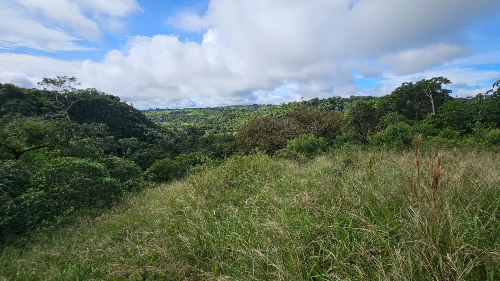Boquerón, Cordillera. Chiriquí #lote 0011 - Photo 49