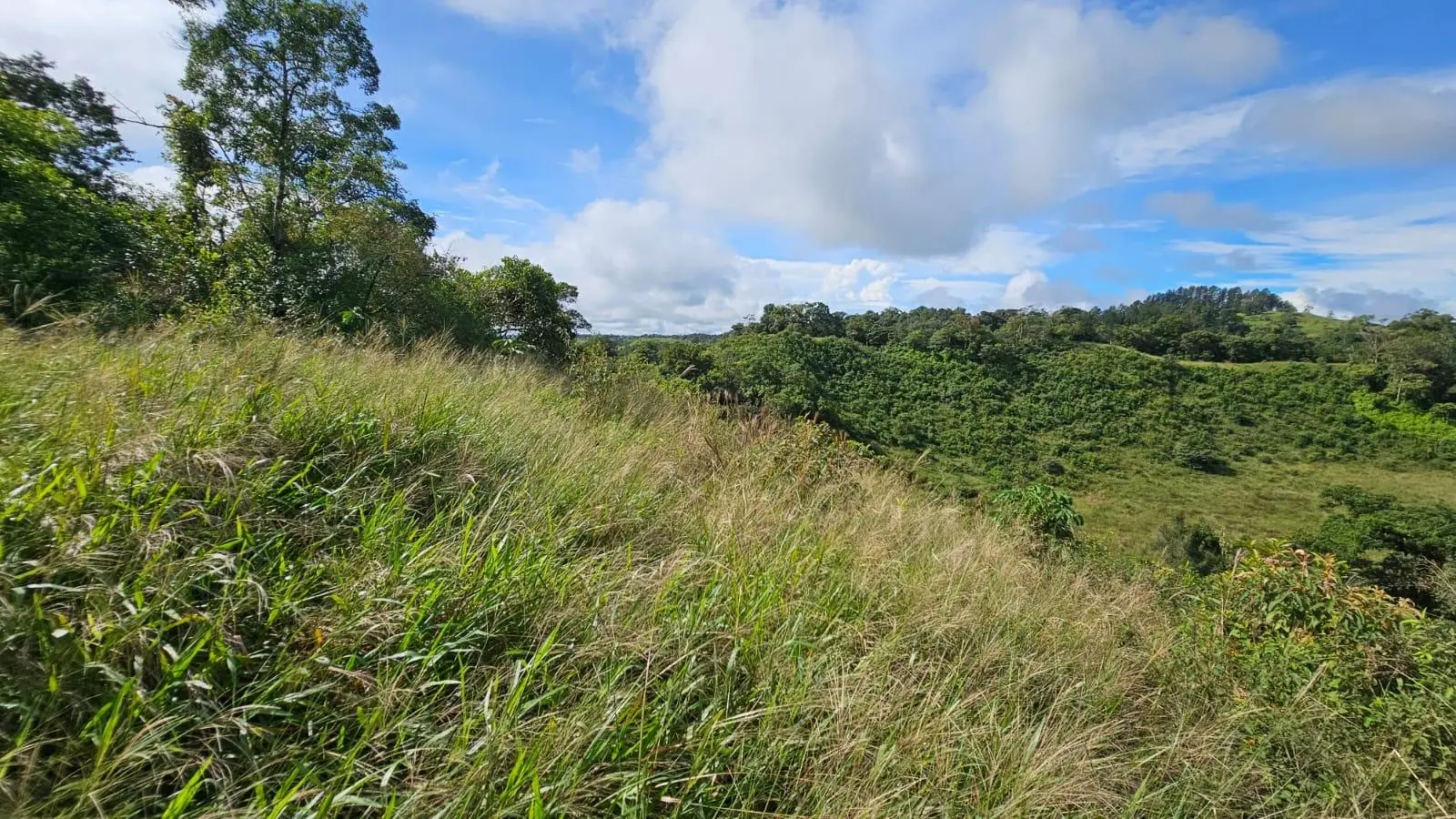Boquerón, Cordillera. Chiriquí #lote 0011 - Photo 33