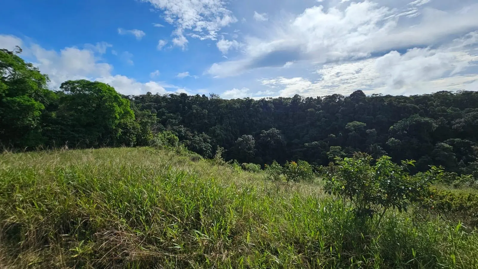 Boquerón, Cordillera. Chiriquí #lote 0011 - Photo 38