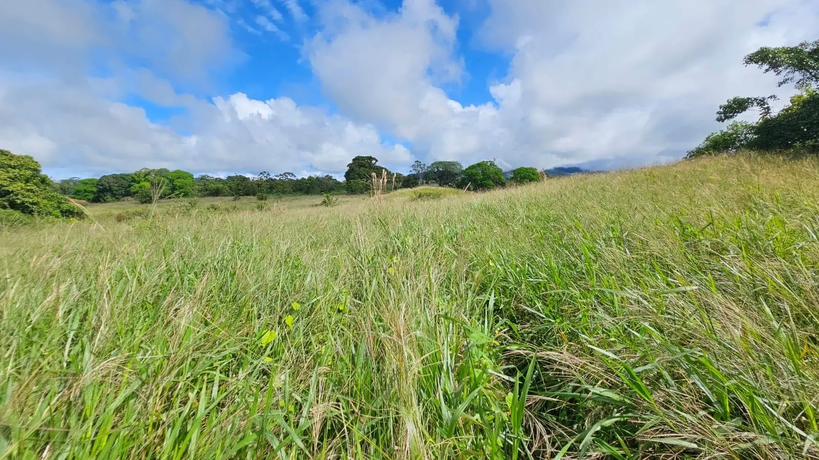 Boquerón, Cordillera. Chiriquí #lote 0011 - Photo 22