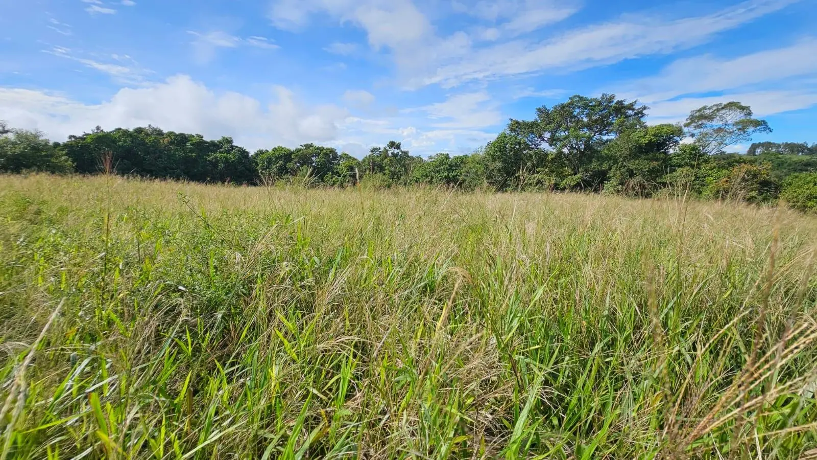 Boquerón, Cordillera. Chiriquí #lote 0011 - Photo 8