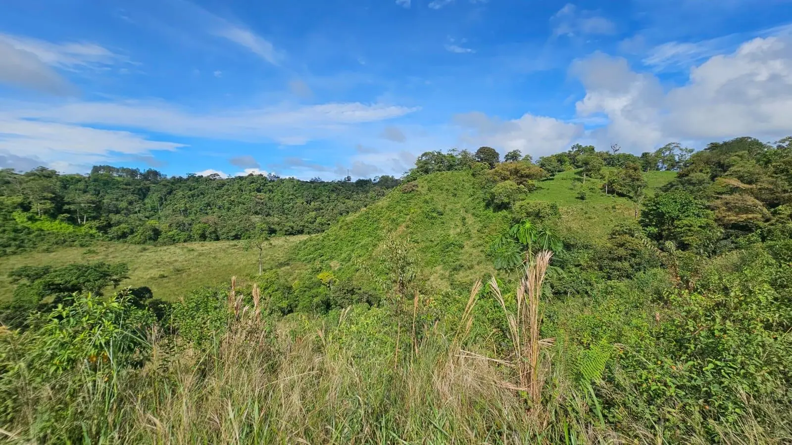 Boquerón, Cordillera. Chiriquí #lote 0011 - Photo 29