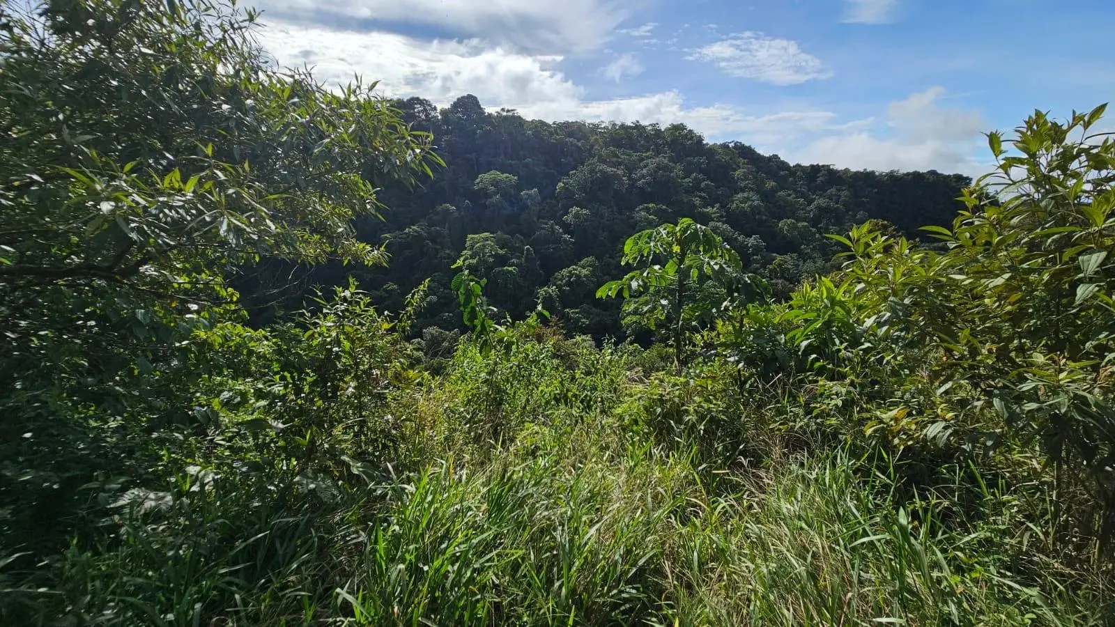 Boquerón, Cordillera. Chiriquí #lote 0011 - Photo 54