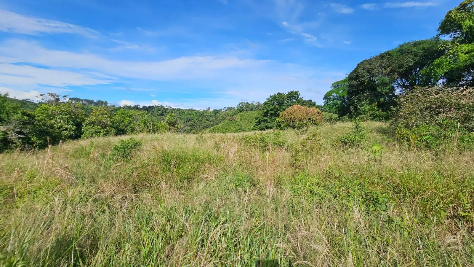 Boquerón, Cordillera. Chiriquí #lote 0011 - Photo 19