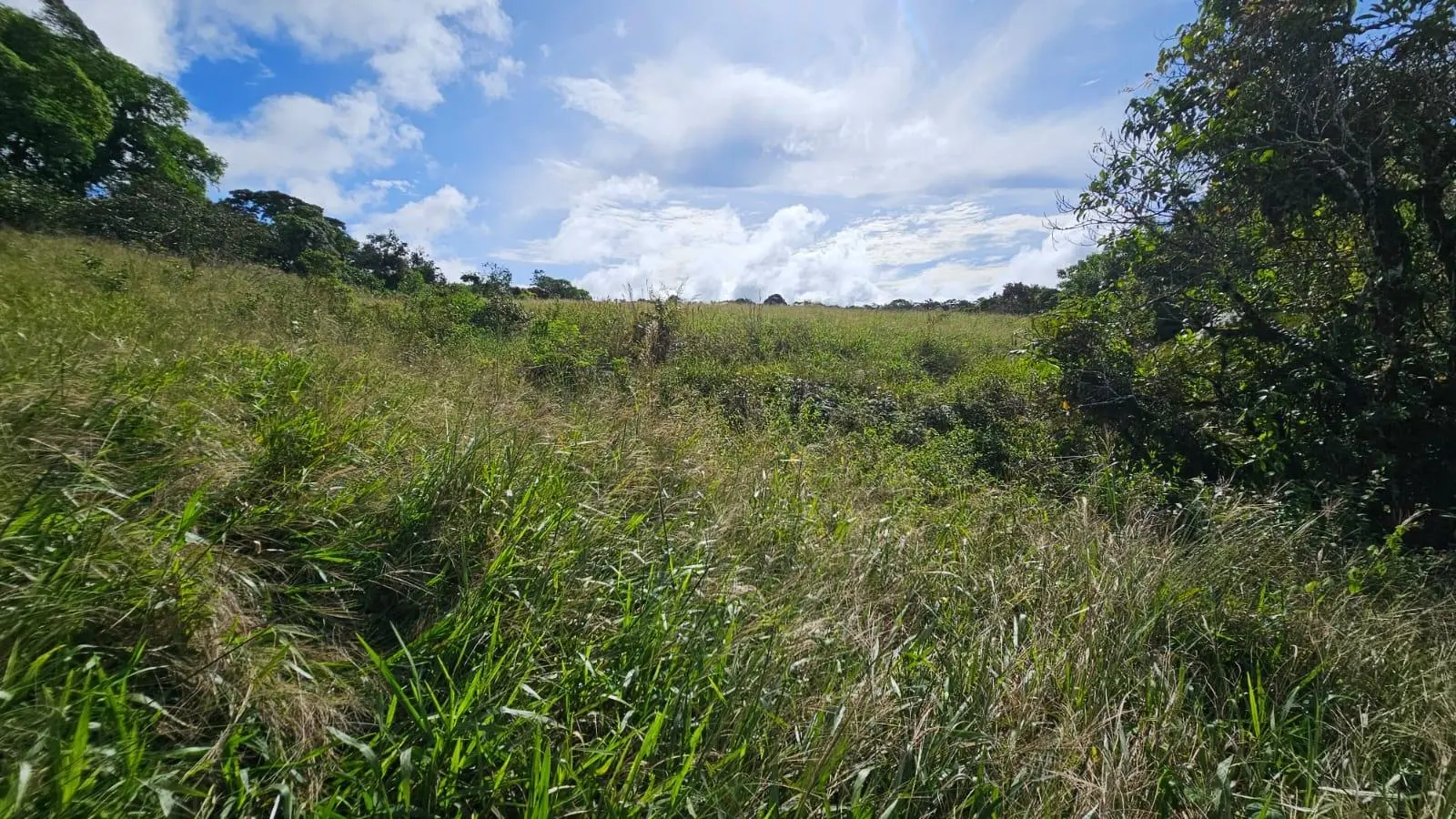 Boquerón, Cordillera. Chiriquí #lote 0011 - Photo 27