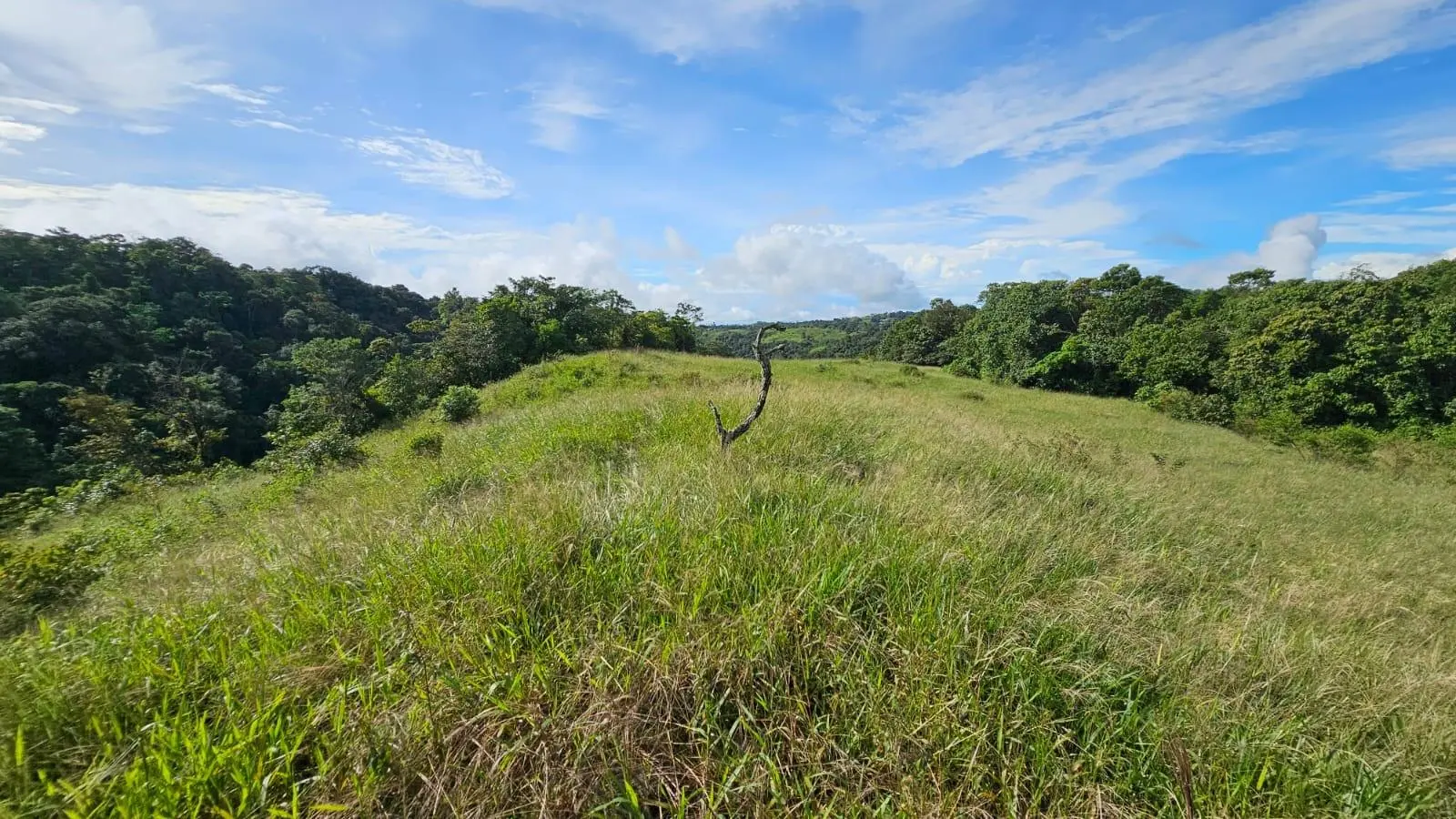 Boquerón, Cordillera. Chiriquí #lote 0011 - Photo 57