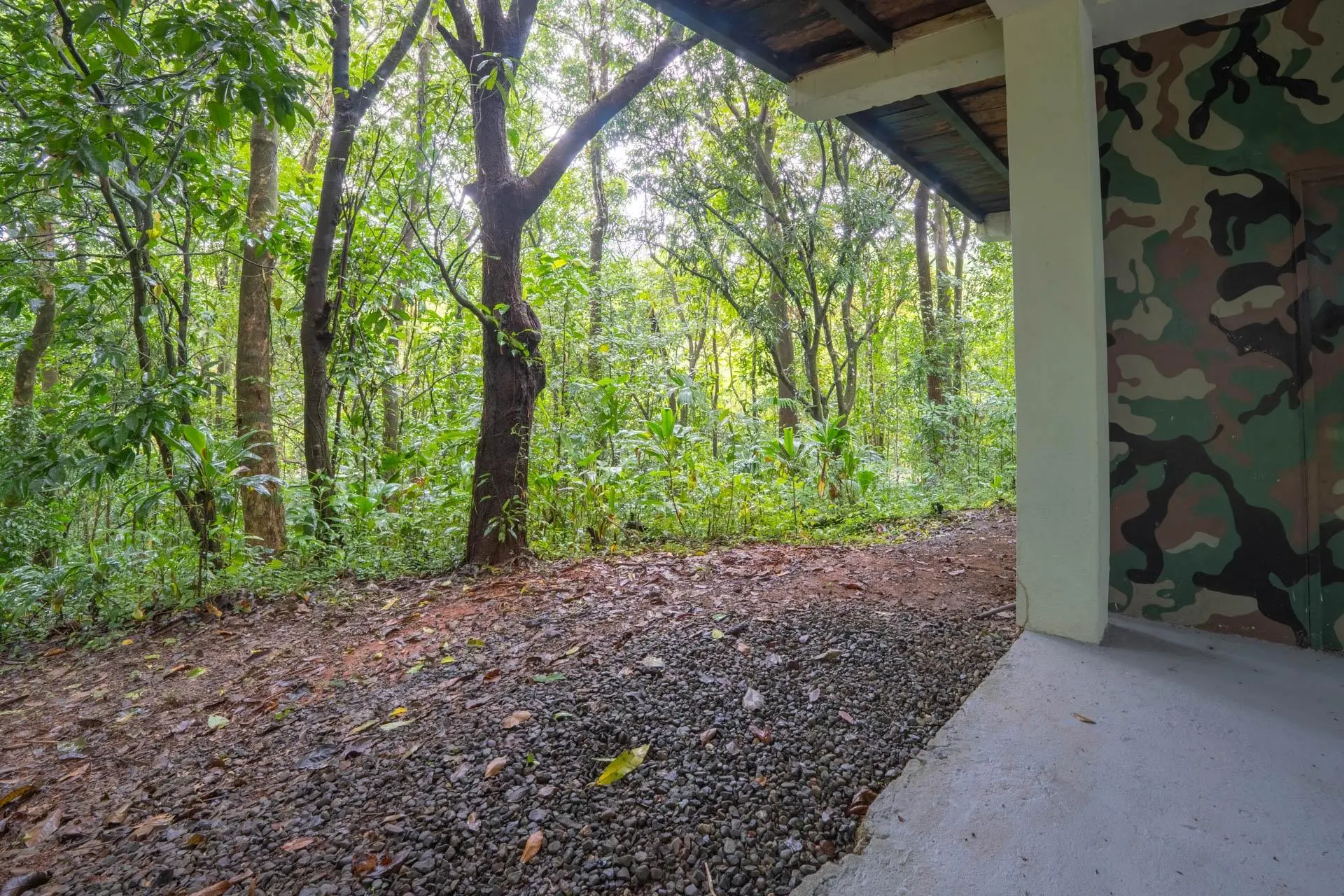 Morrillo Pacific Heights - Photo 114