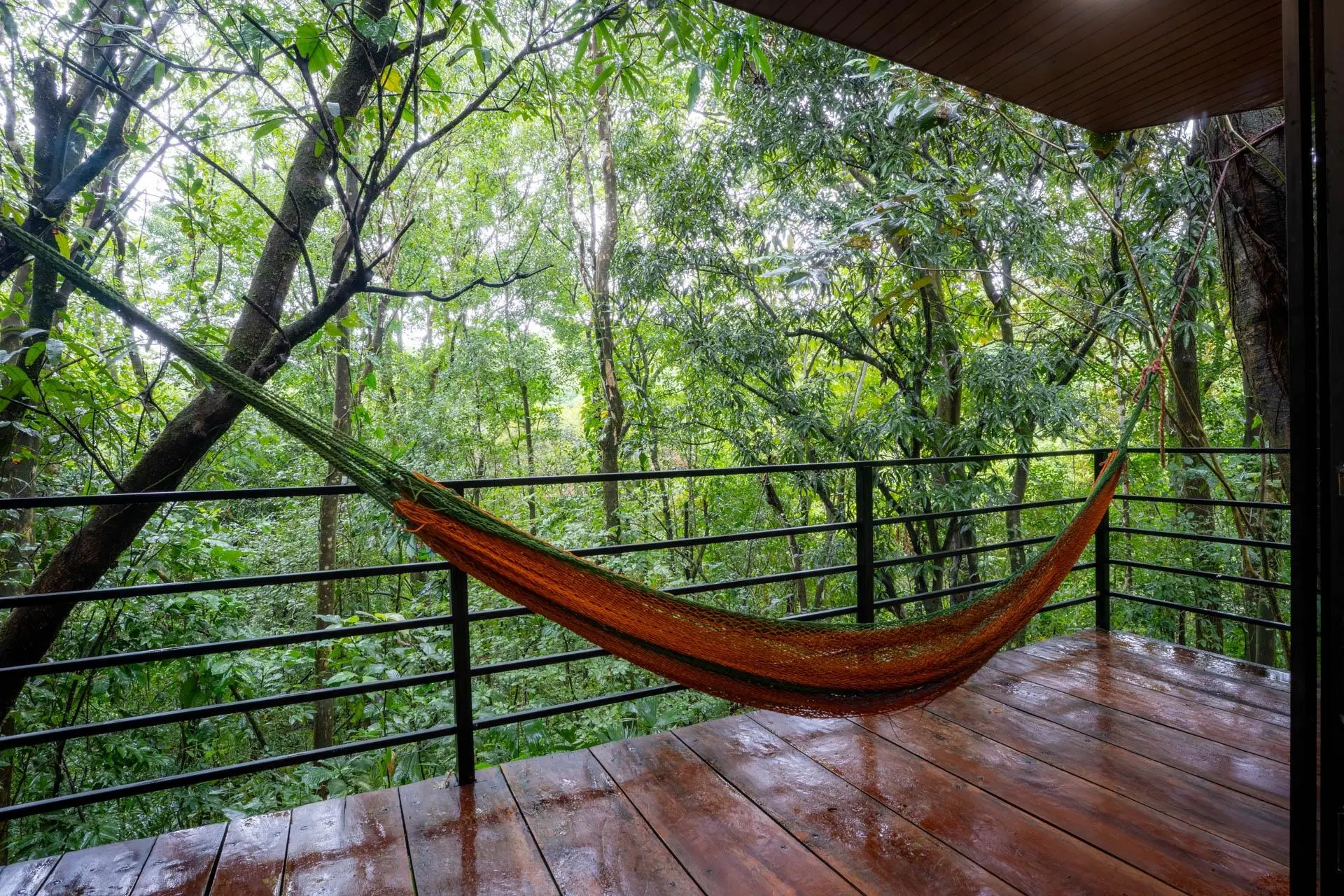 Morrillo Pacific Heights - Photo 68