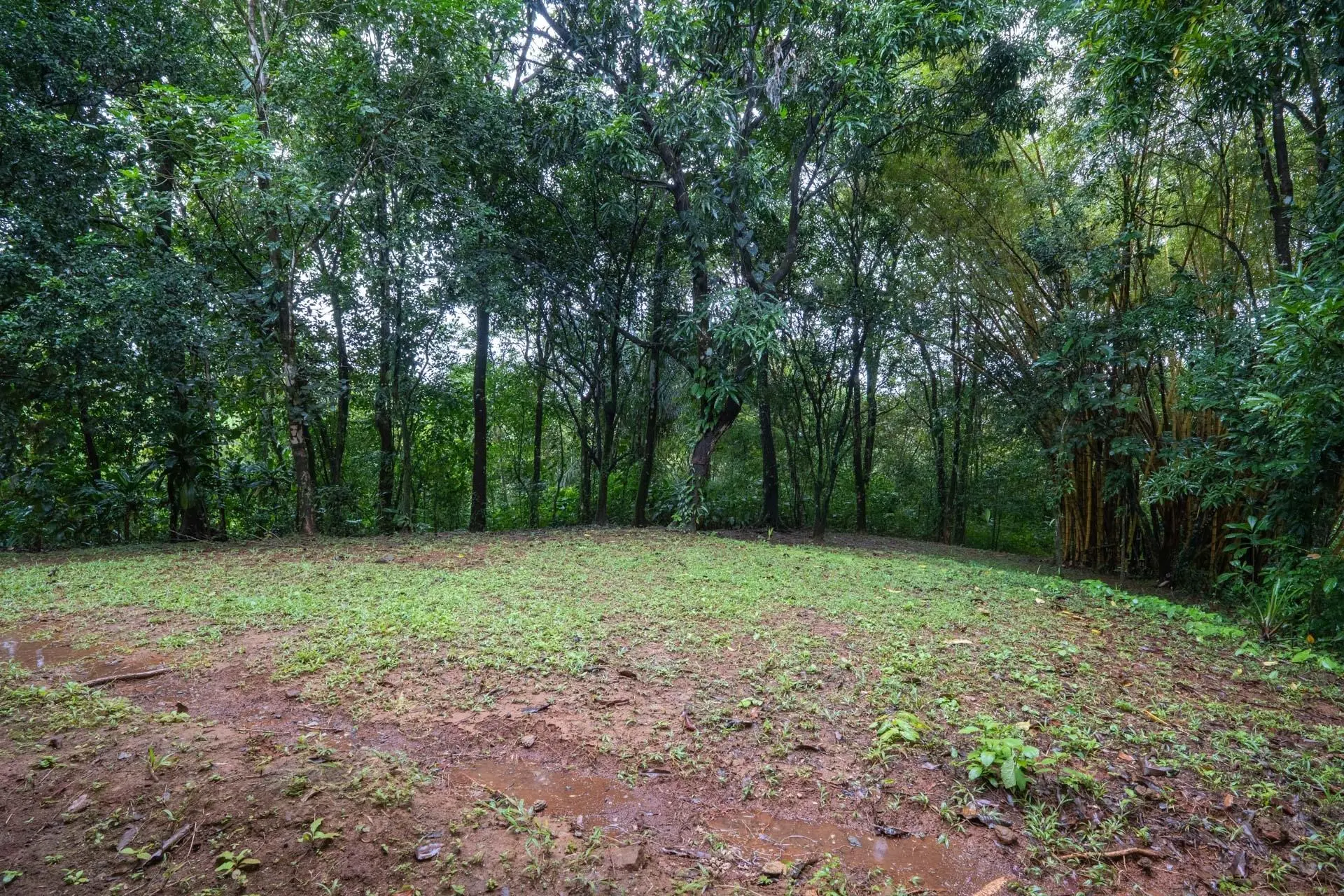 Morrillo Pacific Heights - Photo 115