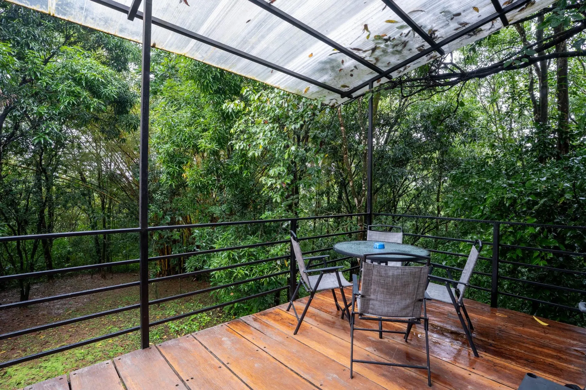 Morrillo Pacific Heights - Photo 51