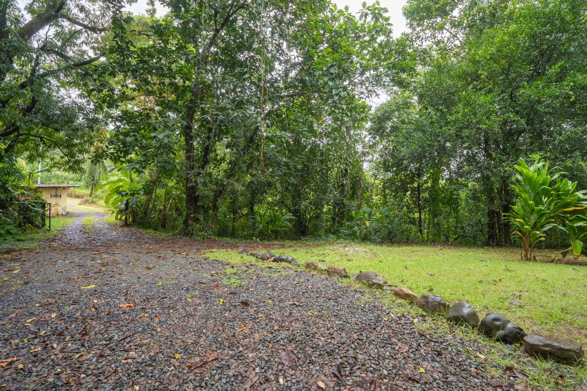 Morrillo Pacific Heights - Photo 100