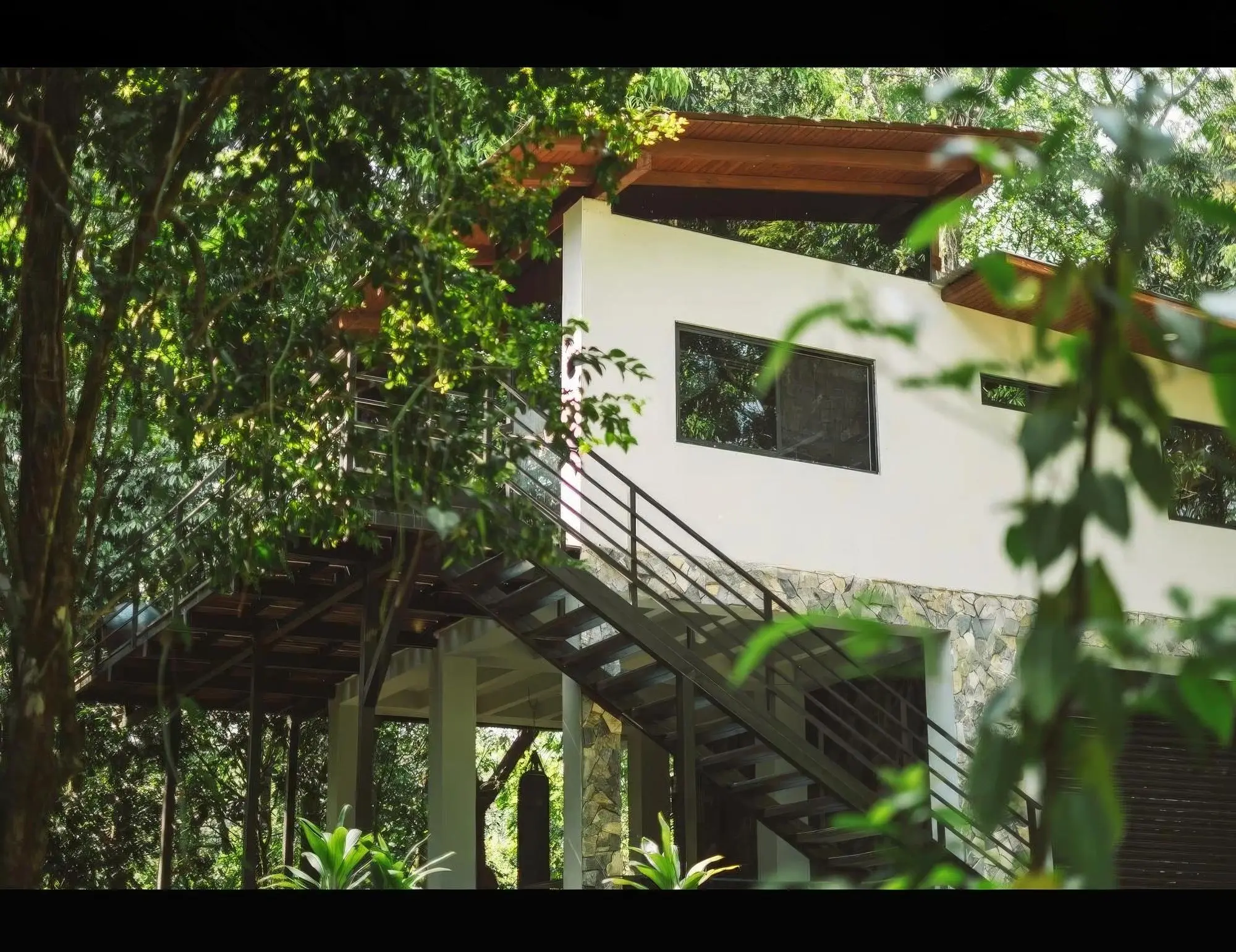 Morrillo Pacific Heights - Photo 9