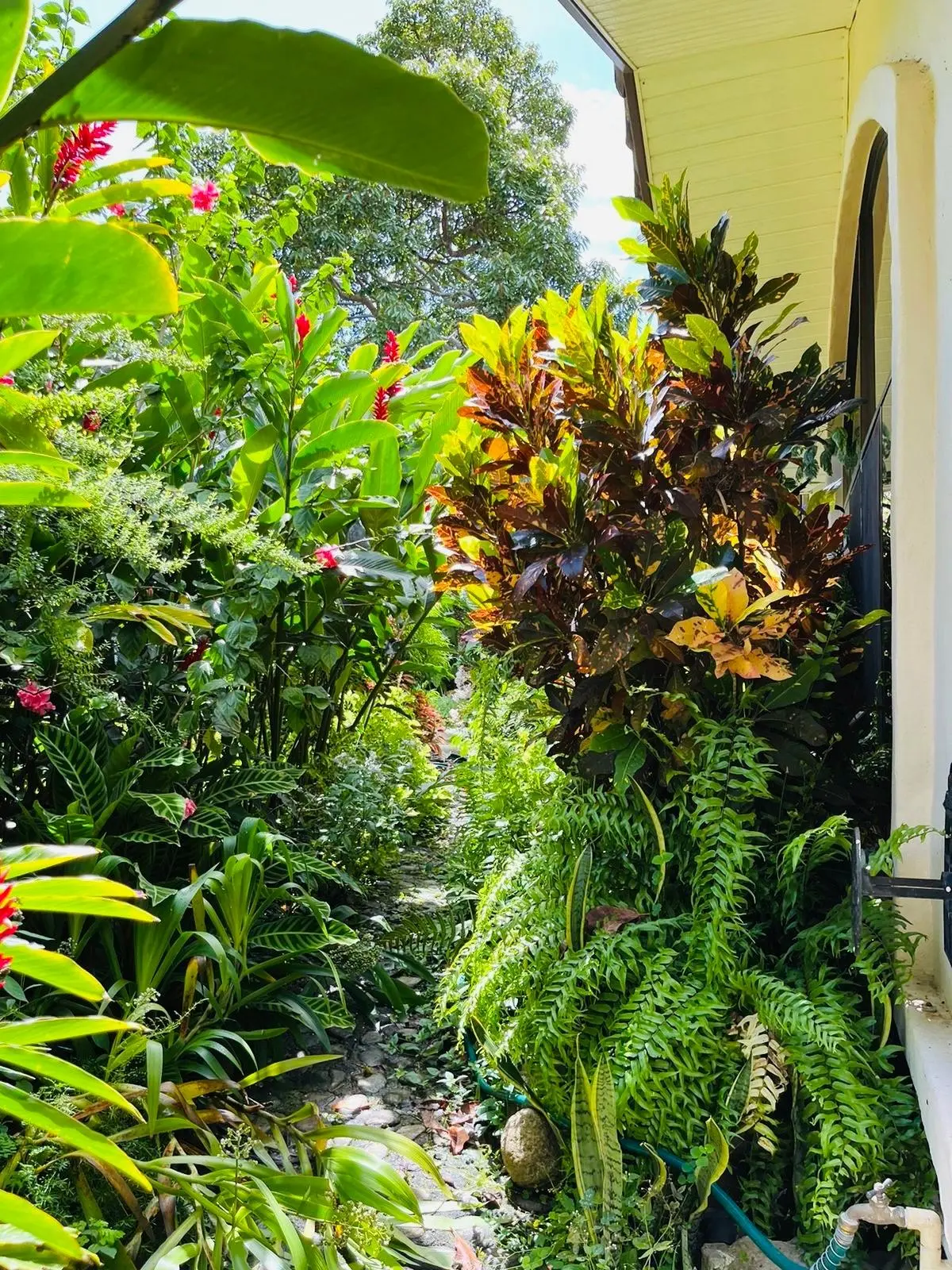 0 Chiriquí, Boquete, Valle Escondido, Casa 68 #68 - Photo 48