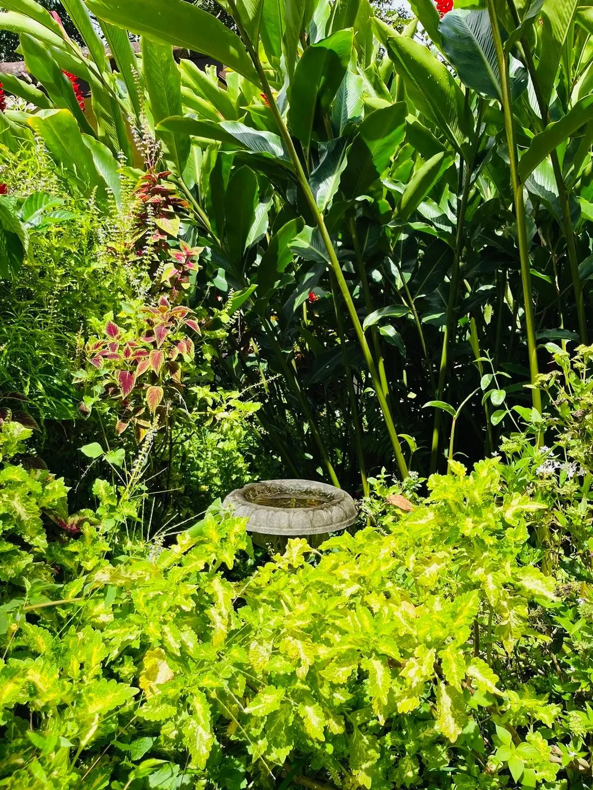 0 Chiriquí, Boquete, Valle Escondido, Casa 68 #68 - Photo 49