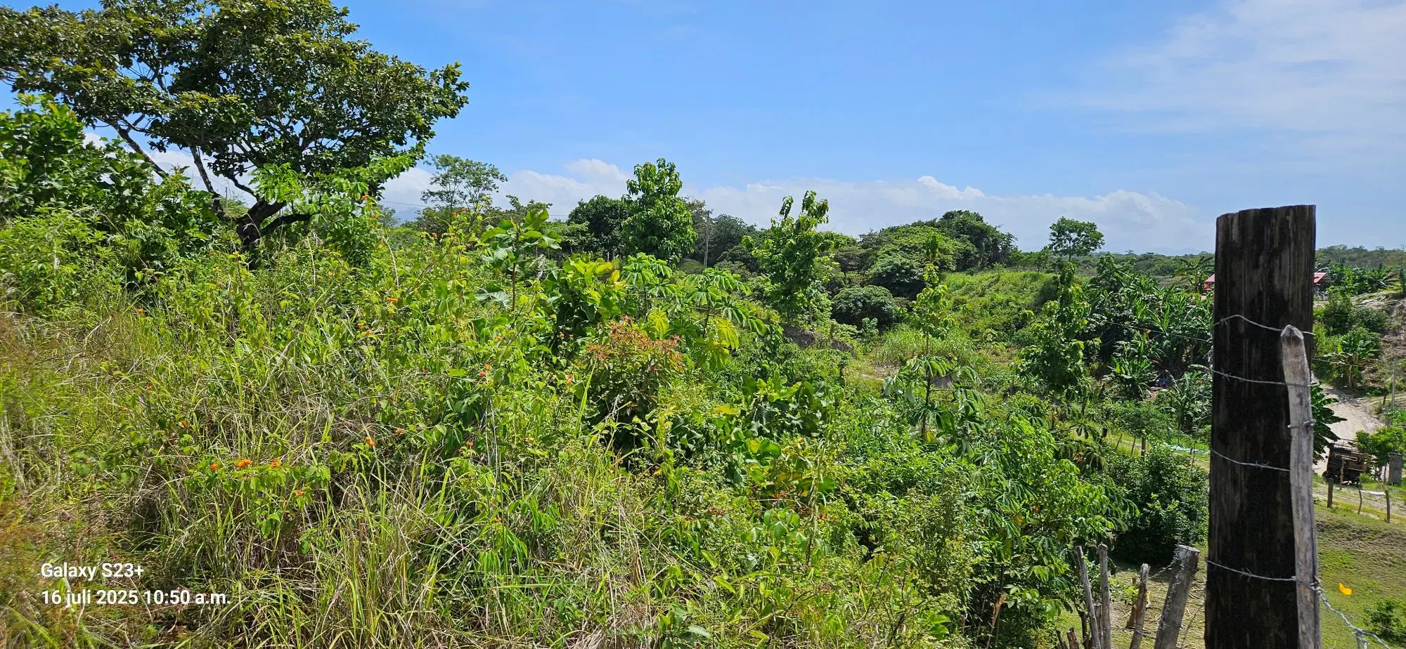 Los Pozos #land - Photo 16