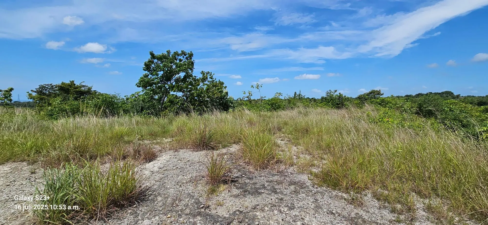 Los Pozos #land - Photo 11