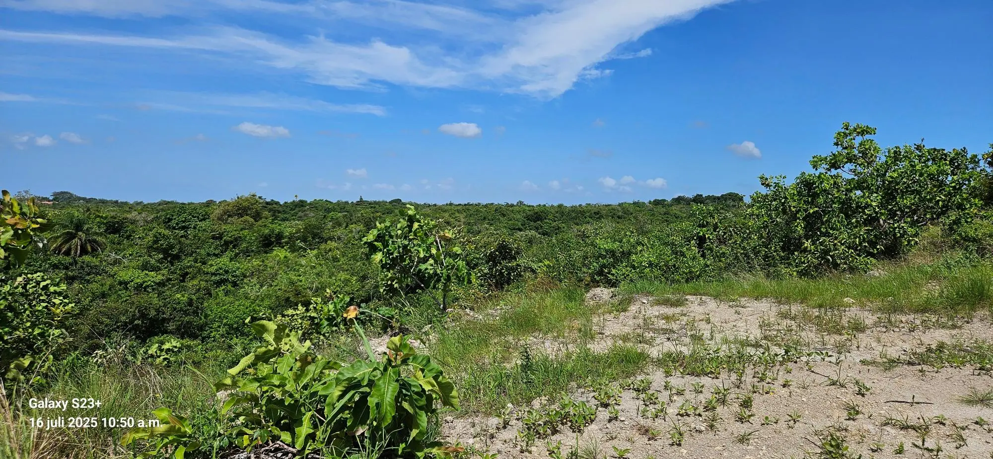 Los Pozos #land - Photo 7