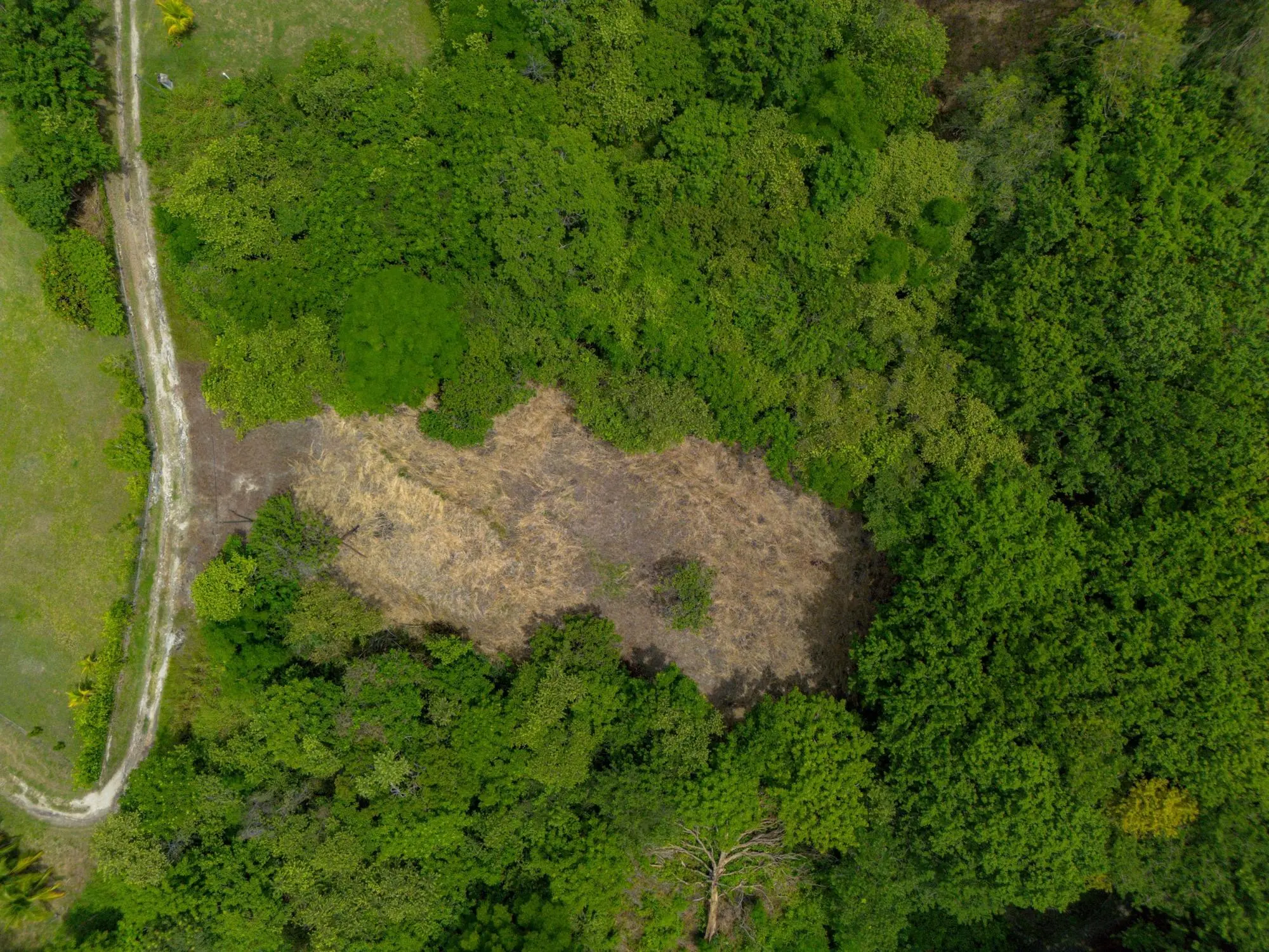 0 Panamá Oeste, San Carlos, La Ermita - Photo 36