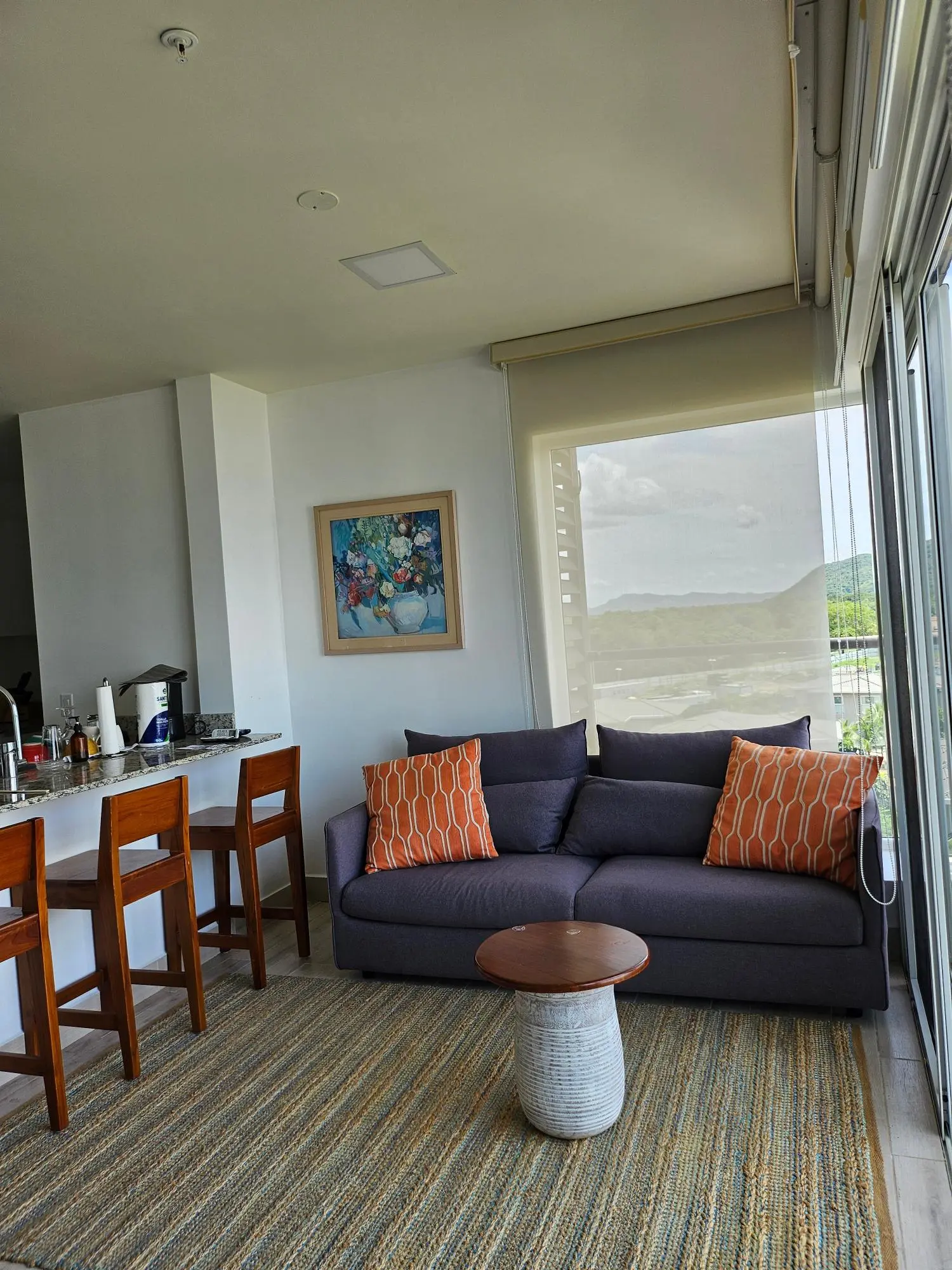 Playa Caracol #05b-5e - Photo 10