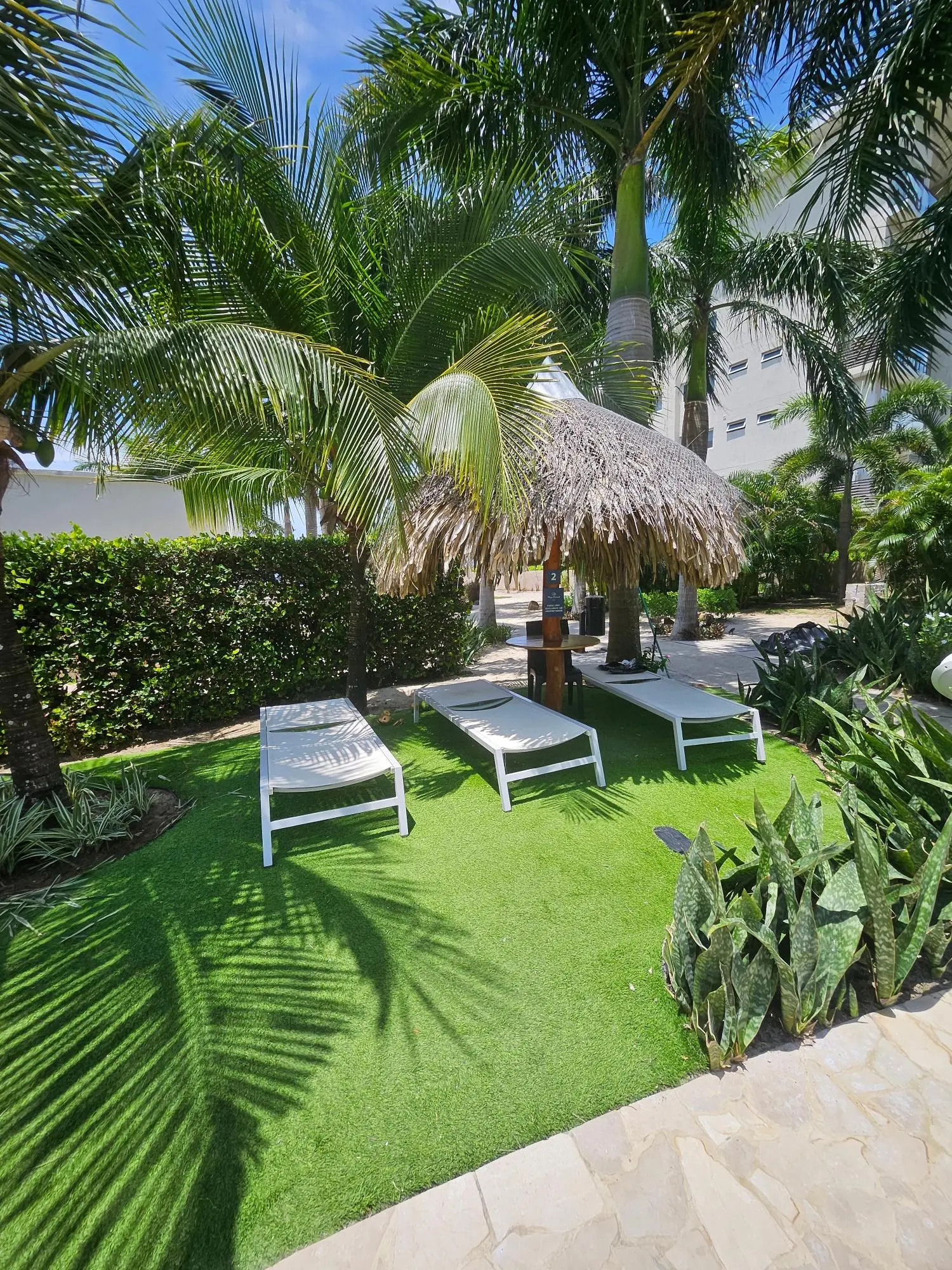 Playa Caracol #05b-5e - Photo 63