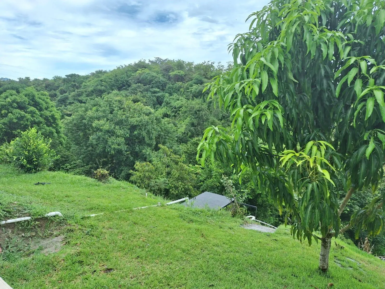 El Higo Frente A Proyecto Miramar - Photo 39