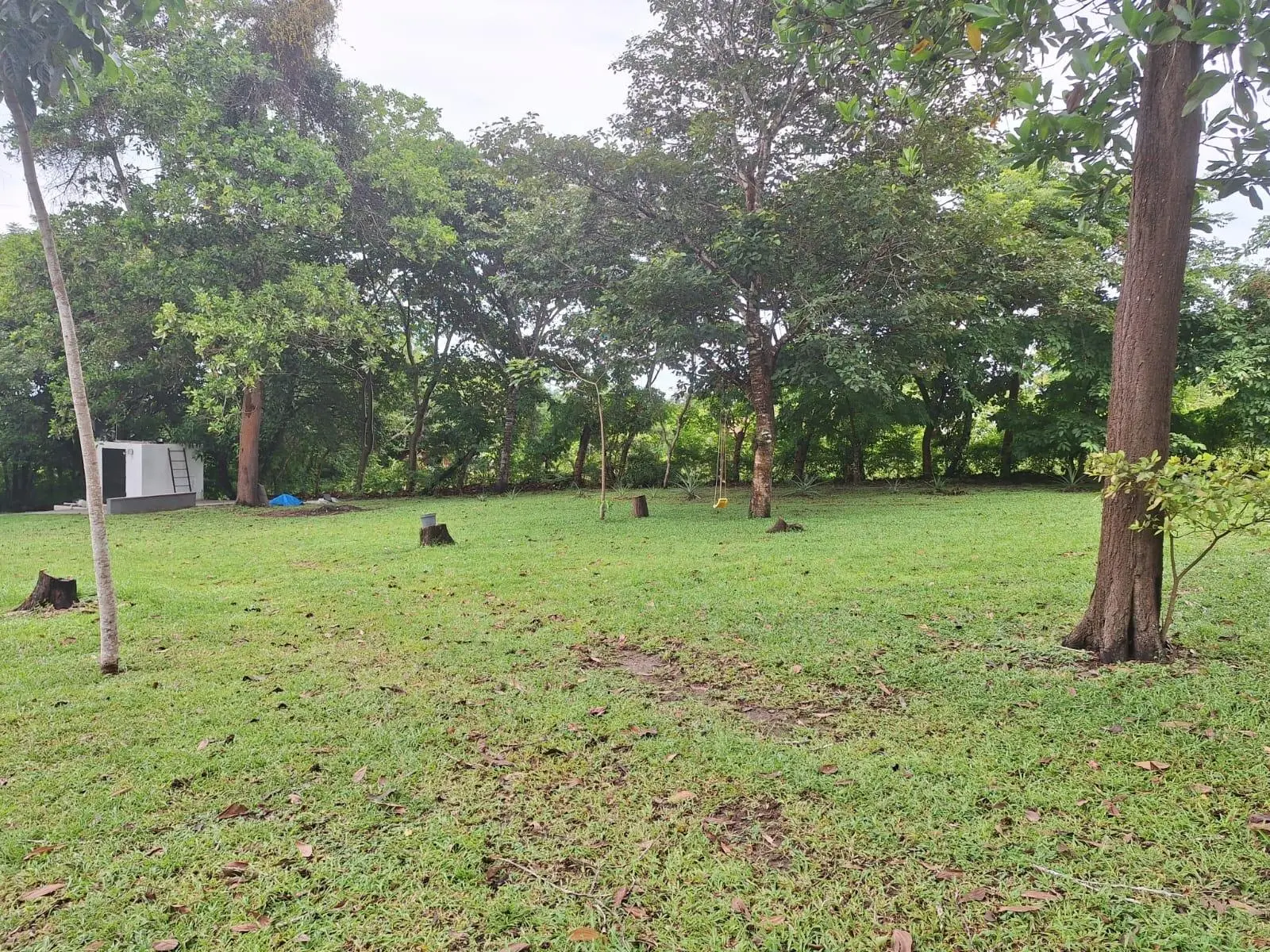 El Higo Frente A Proyecto Miramar - Photo 95