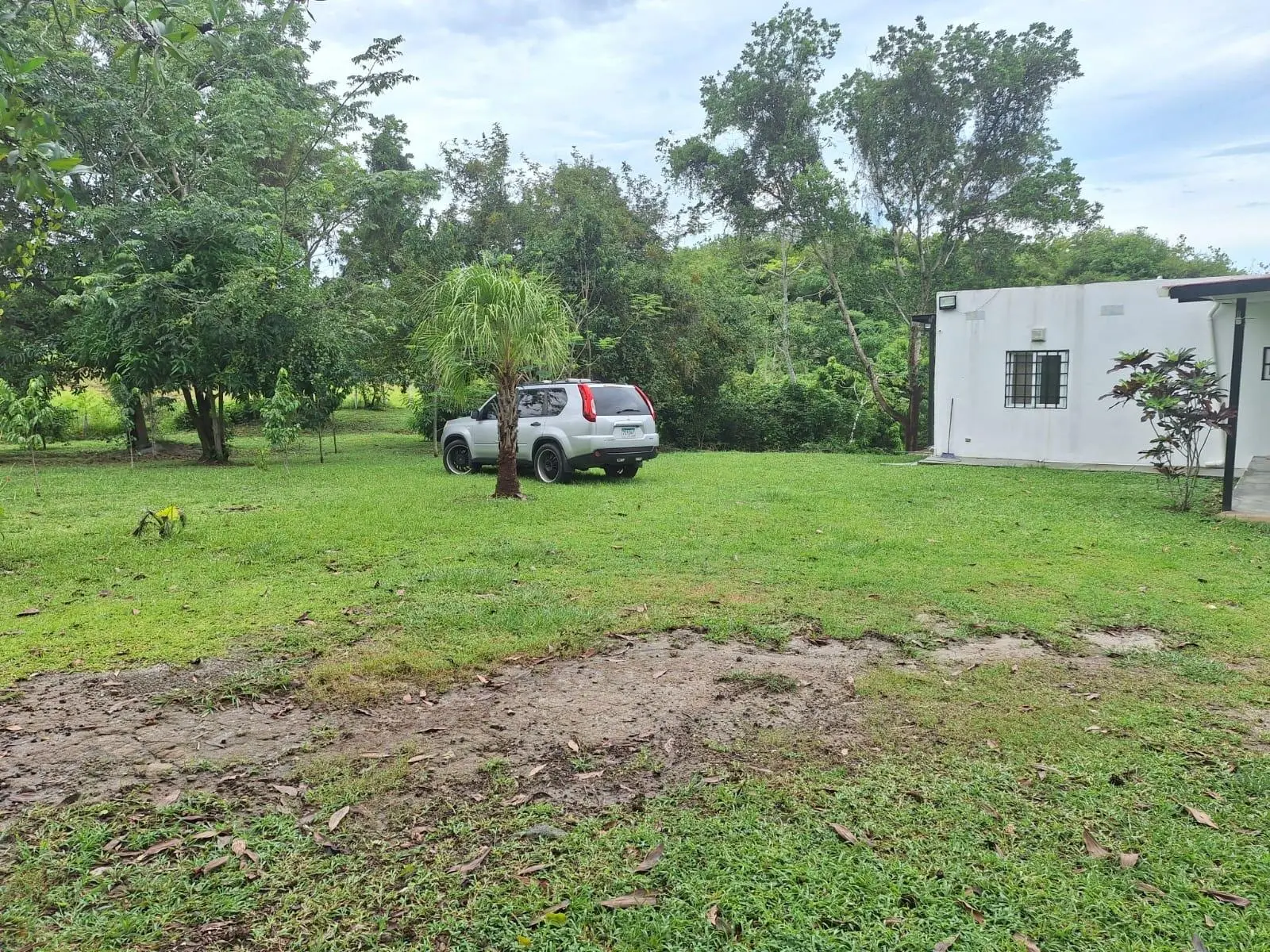 El Higo Frente A Proyecto Miramar - Photo 70