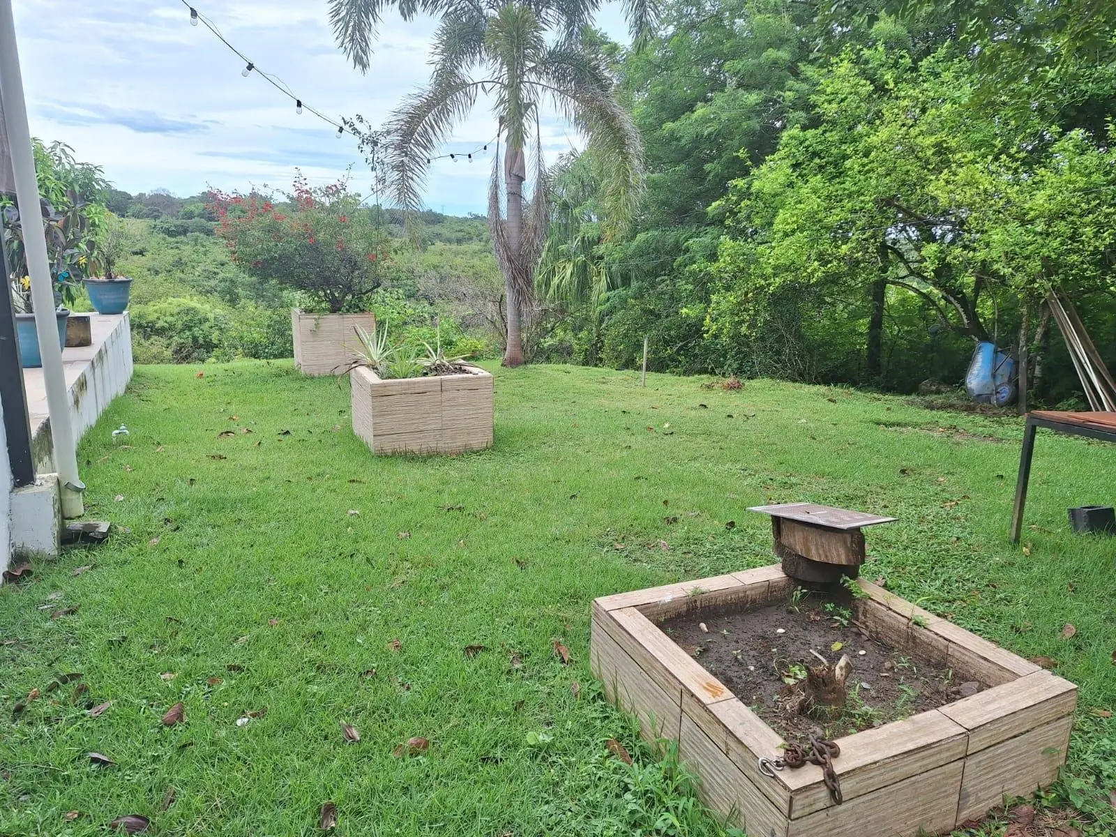 El Higo Frente A Proyecto Miramar - Photo 41