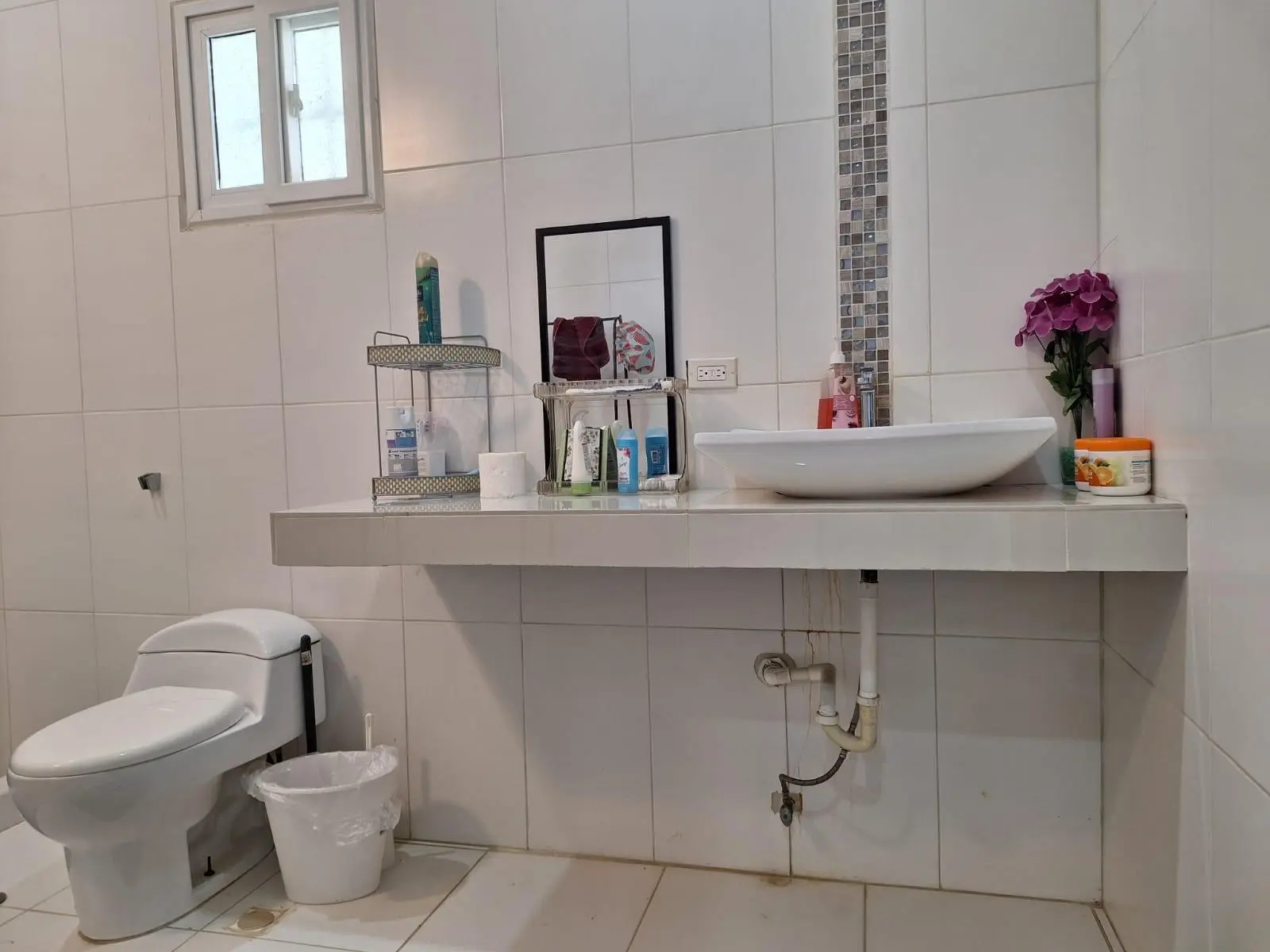 El Higo Frente A Proyecto Miramar - Photo 25