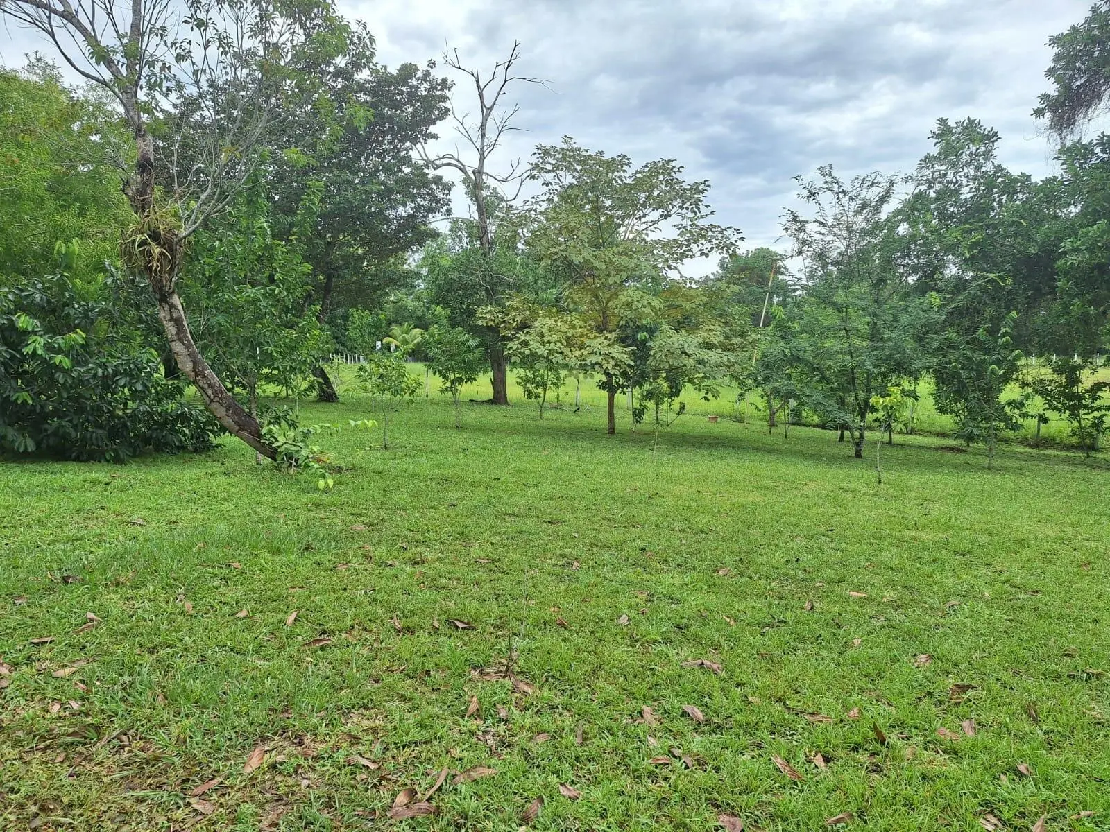 El Higo Frente A Proyecto Miramar - Photo 92